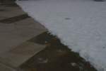 Photo Number 4