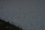 Photo Number 5