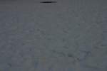 Photo Number 6
