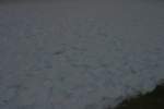 Photo Number 7