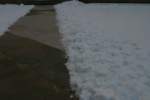Photo Number 9