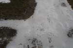 Photo Number 10