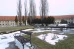 Photo Number 5