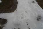 Photo Number 6