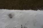 Photo Number 7