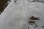 Photo Number 8