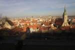 Photo Number 9