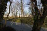Photo Number 7