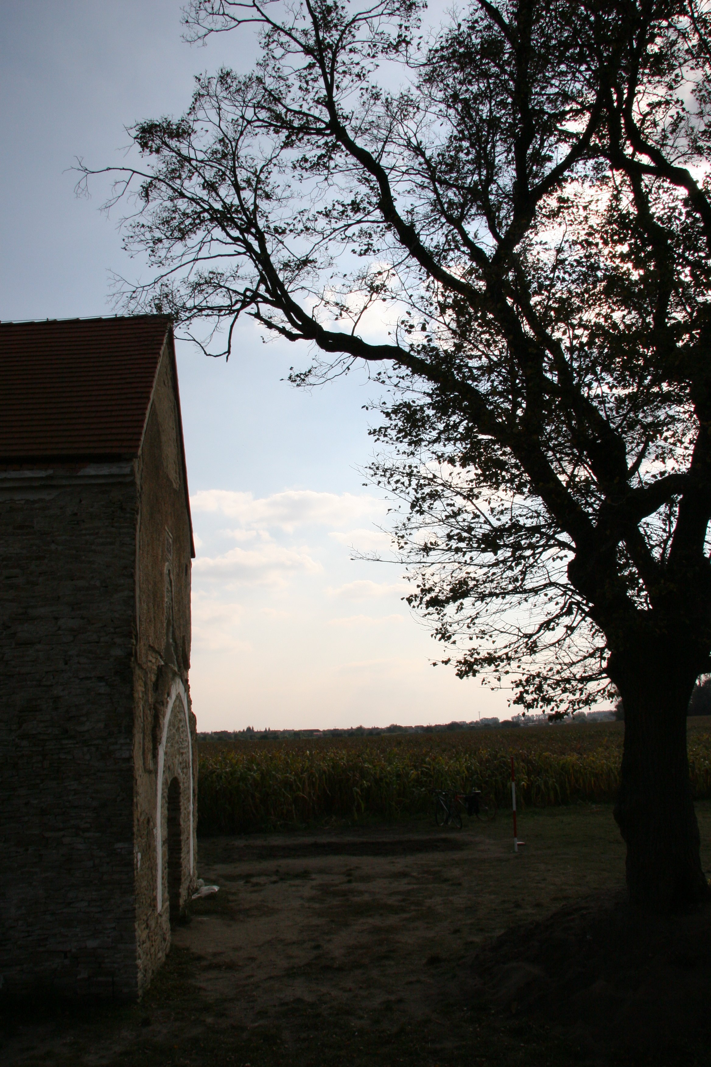 img_4741.jpg