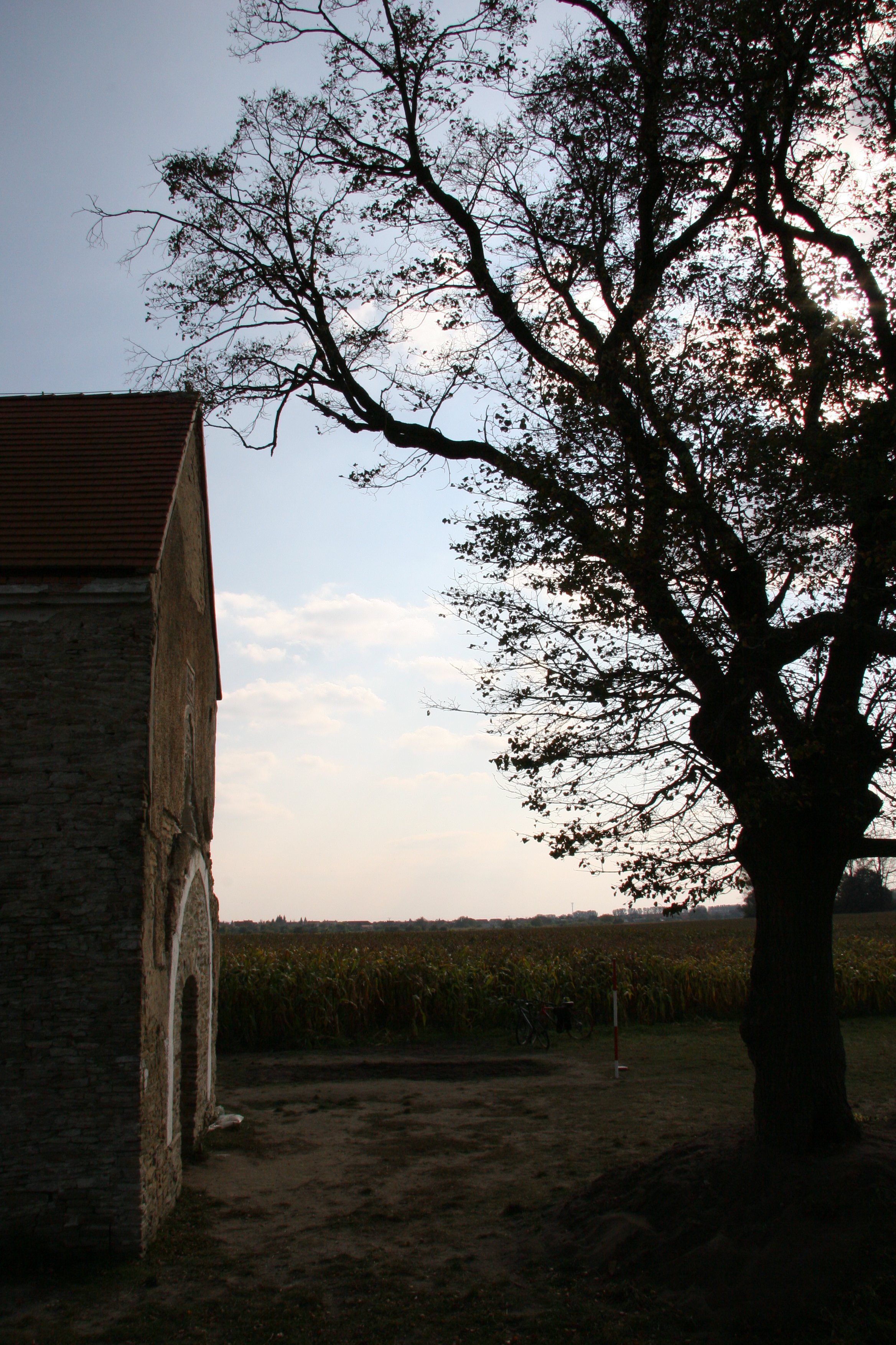 img_4748.jpg