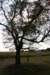 img_4750_small.jpg