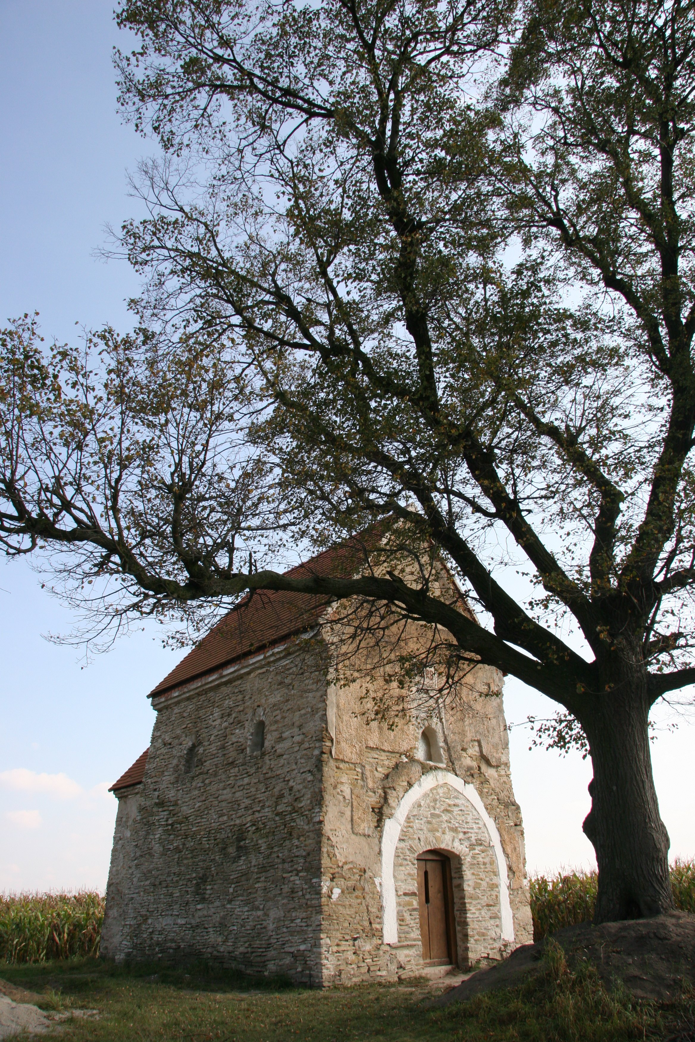 img_4751.jpg