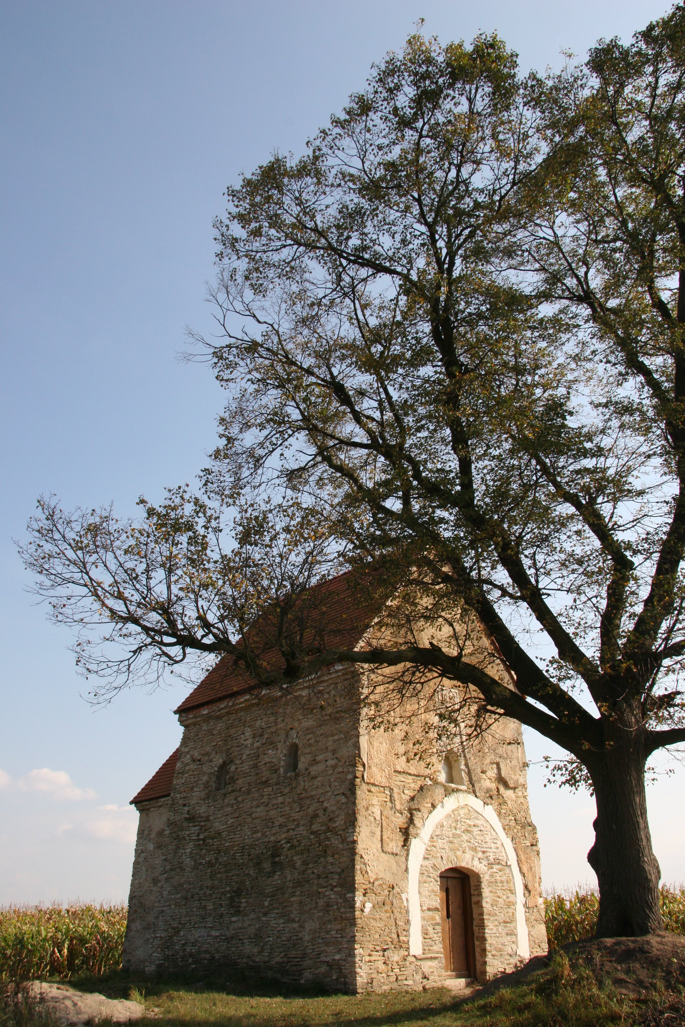 img_4755.jpg