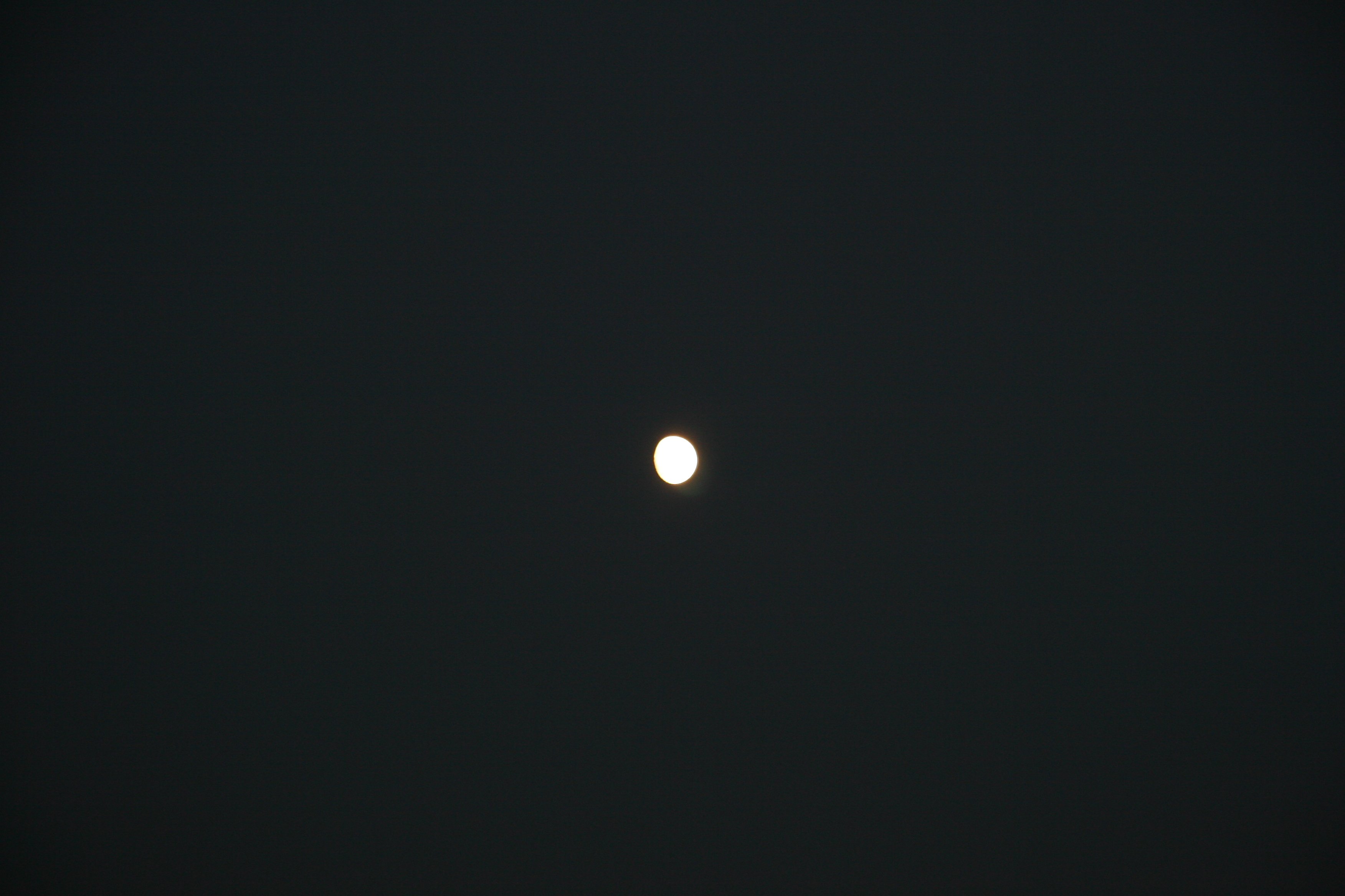 img_4806.jpg