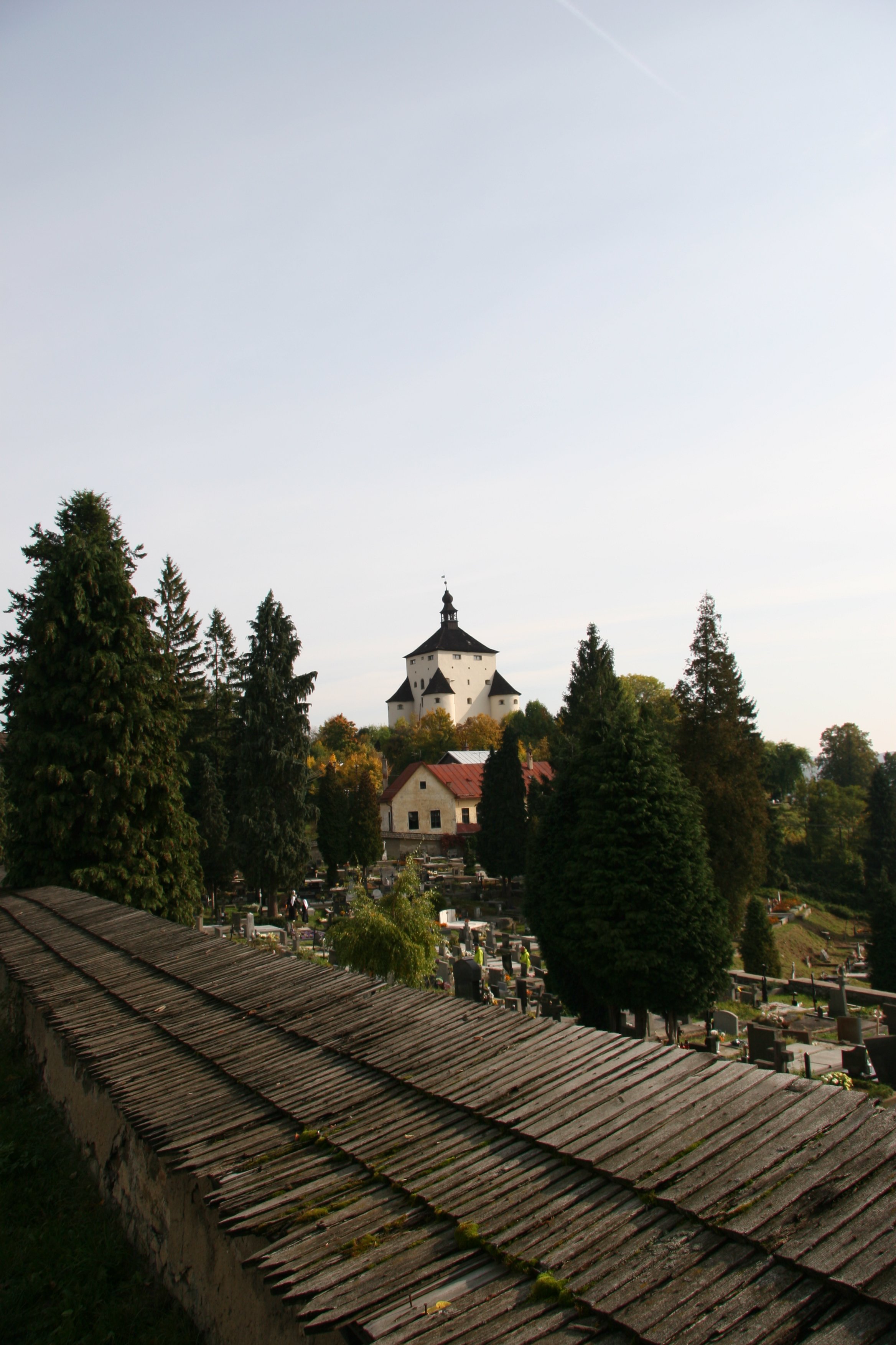 img_5105.jpg