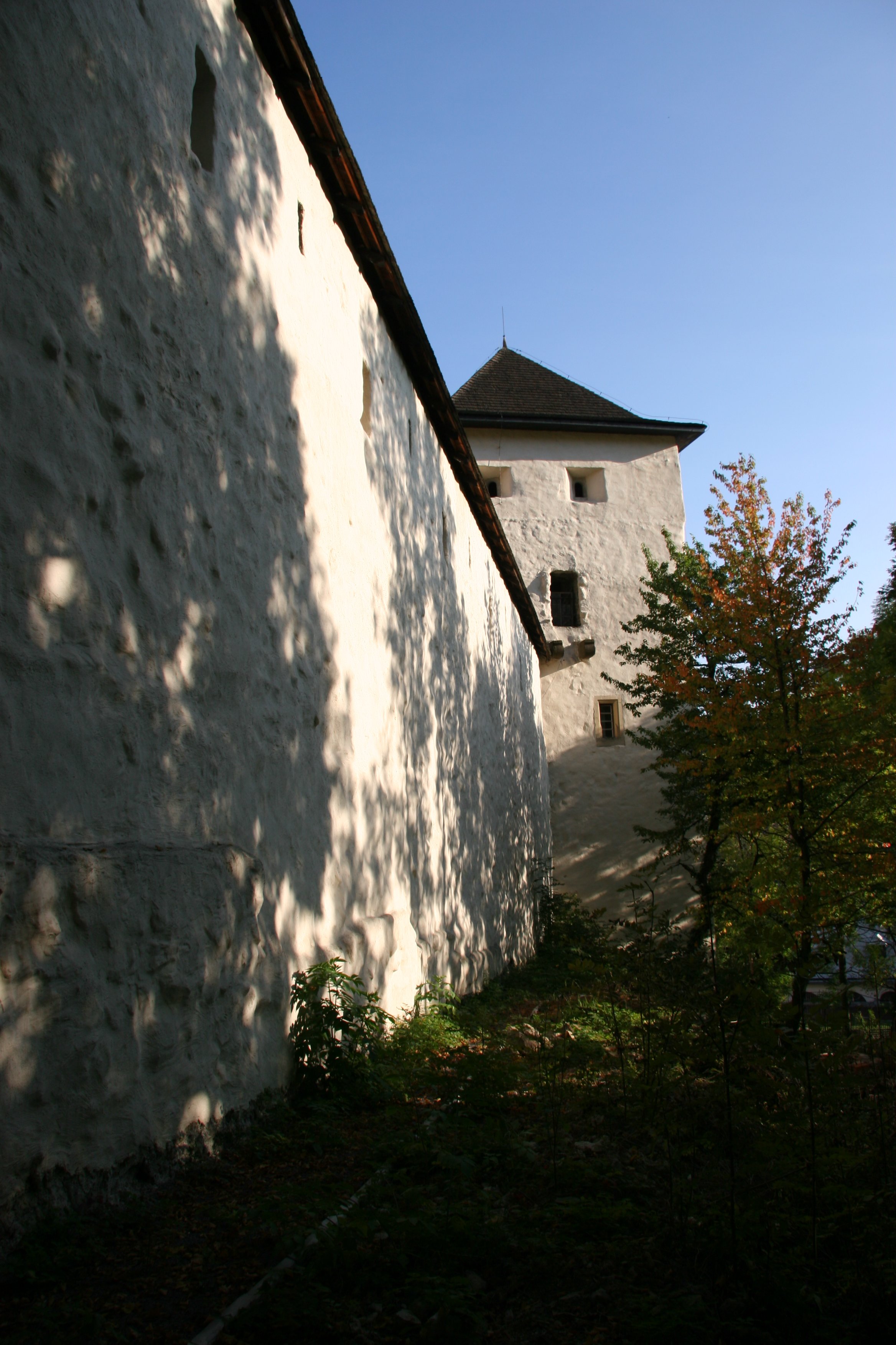img_5404.jpg