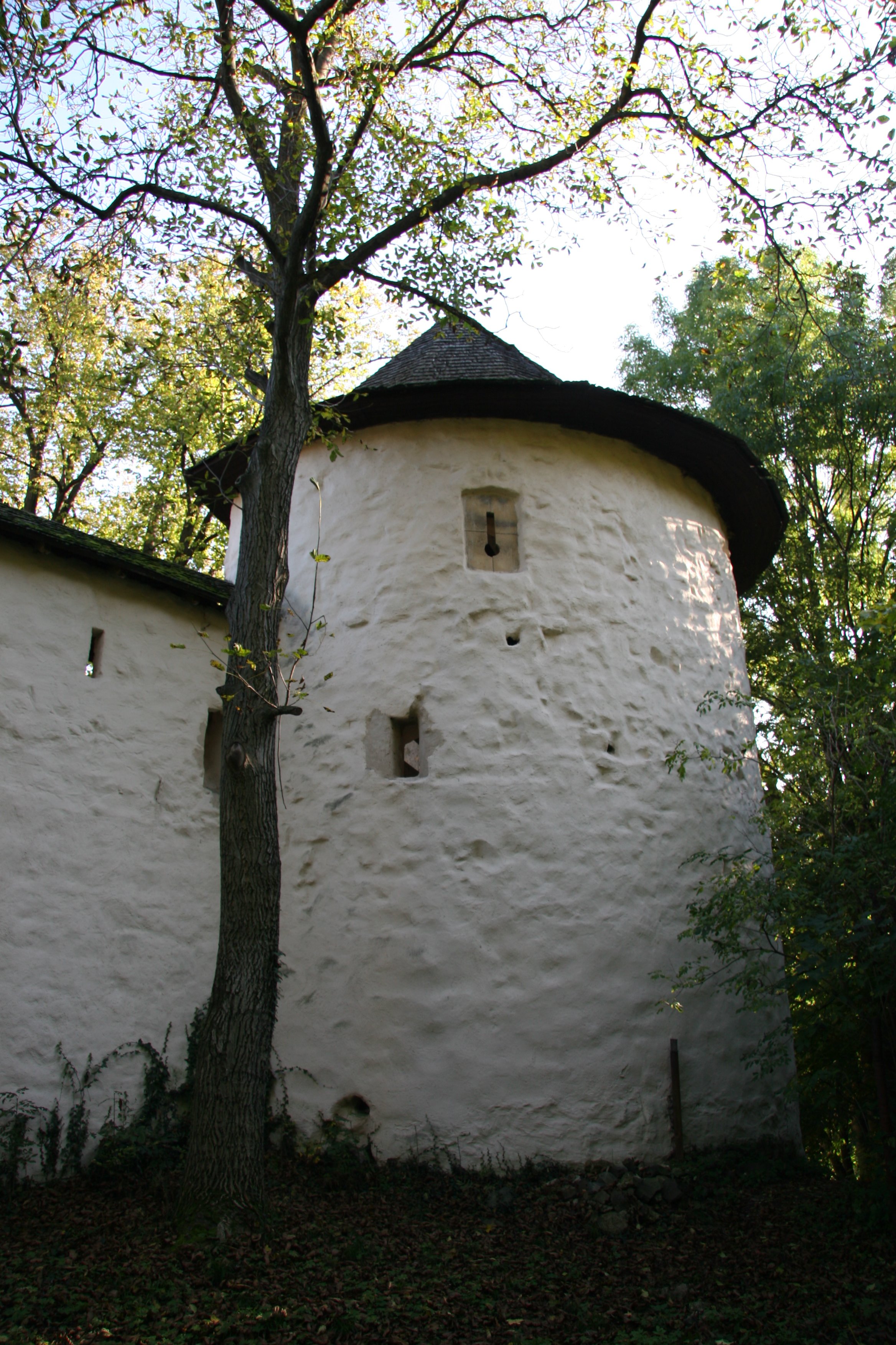 img_5406.jpg