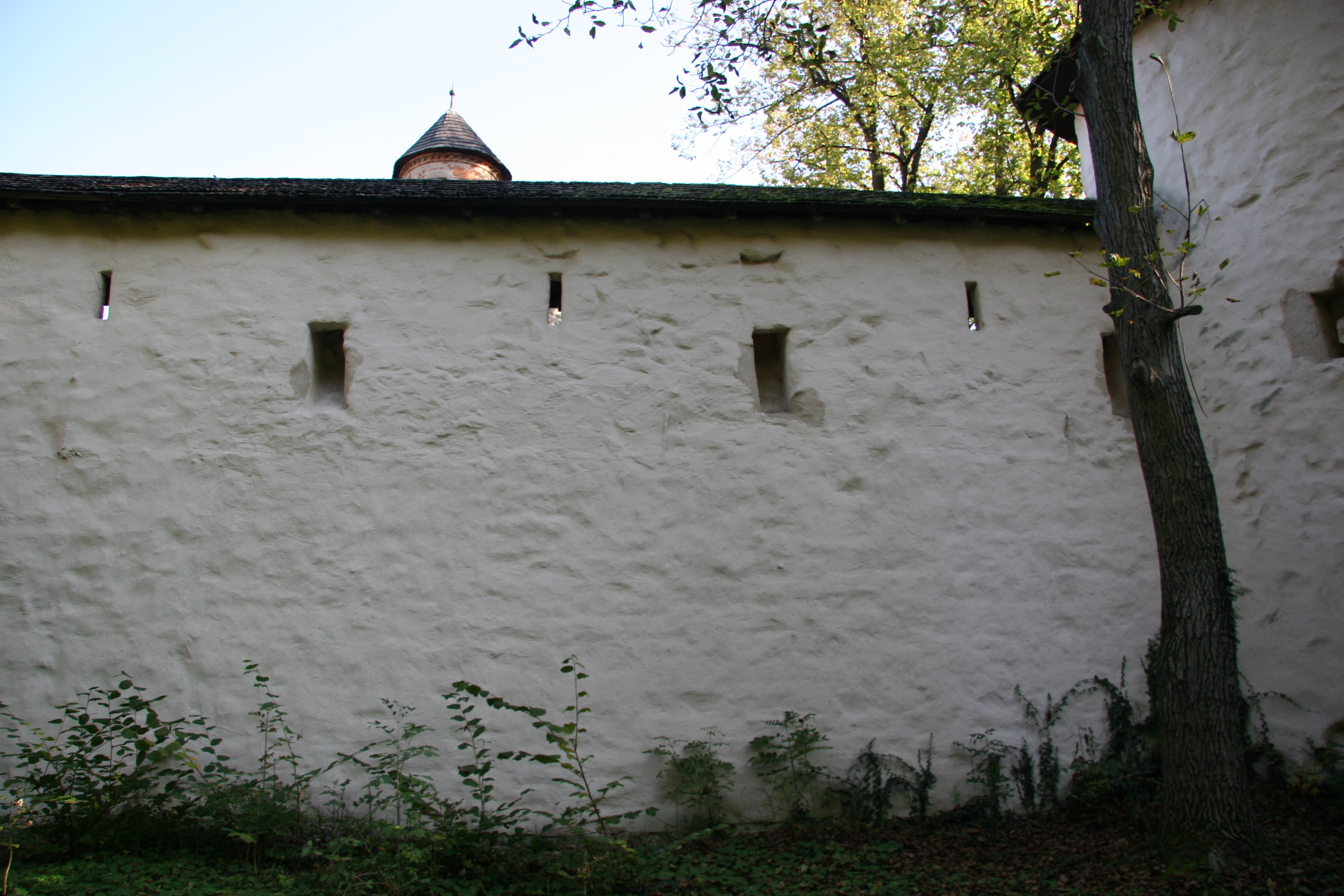 img_5407.jpg