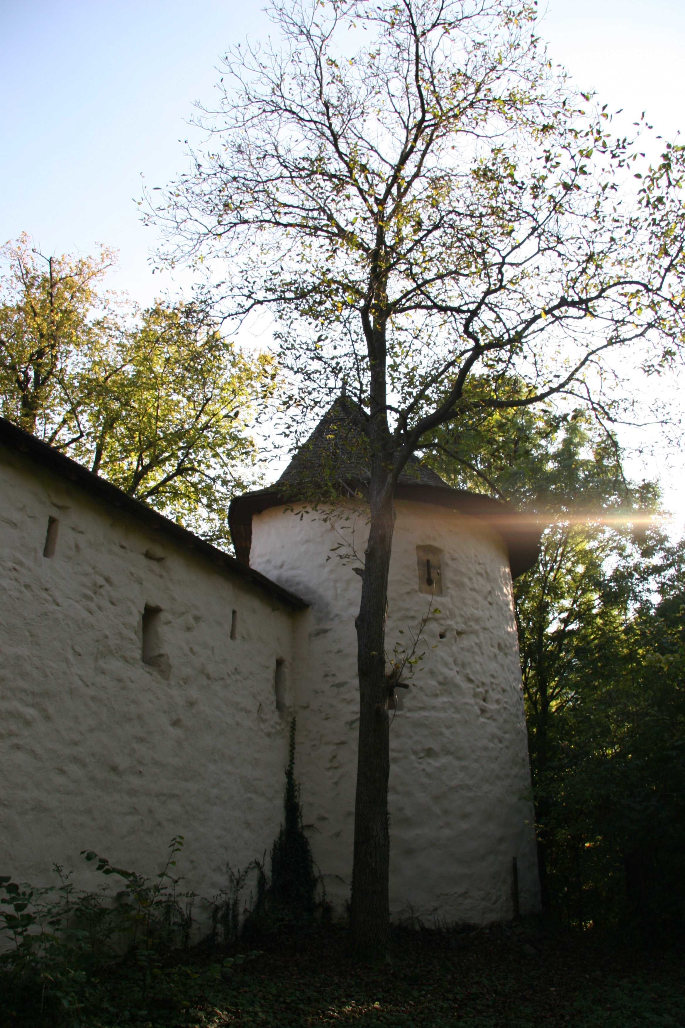 img_5409.jpg