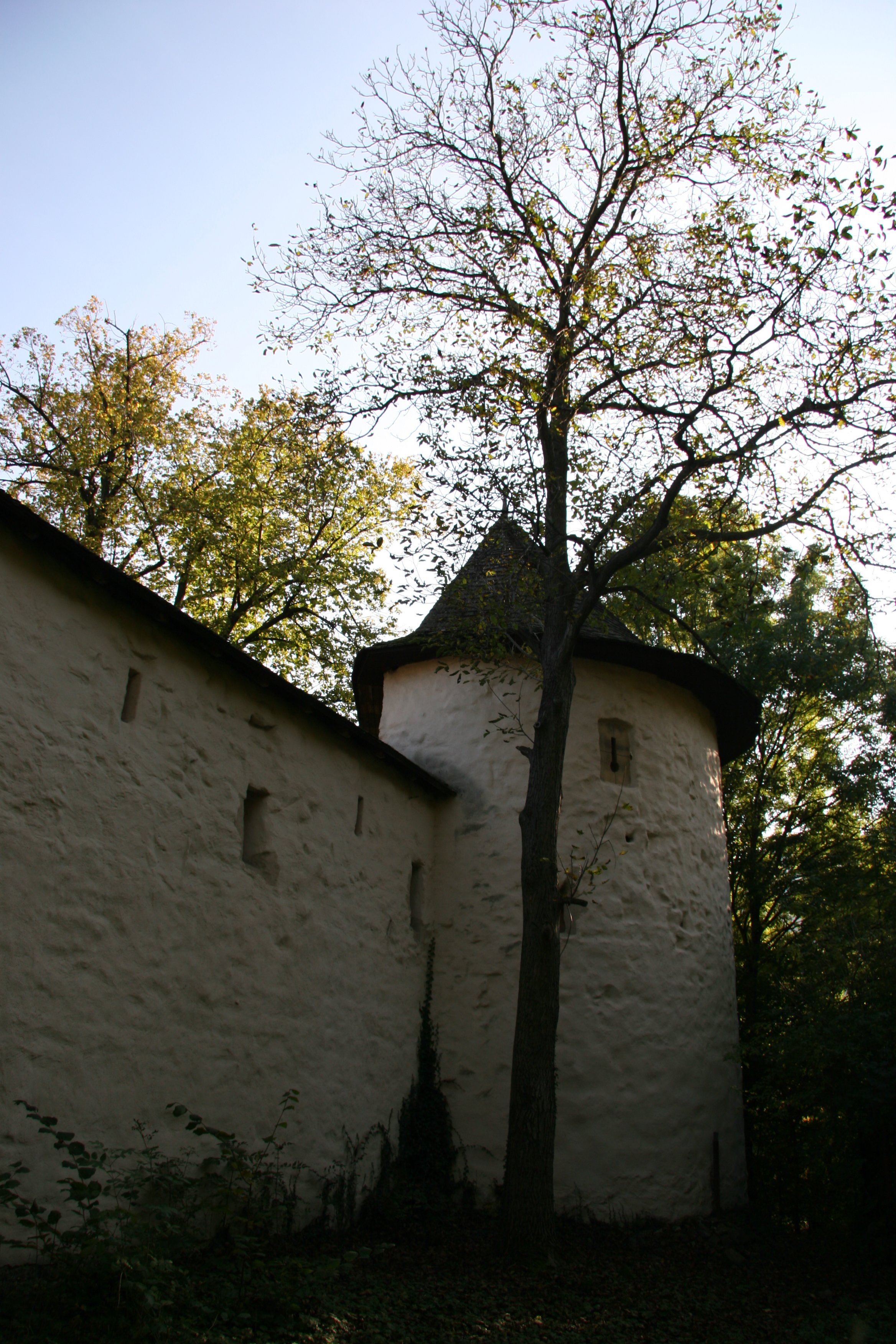 img_5410.jpg