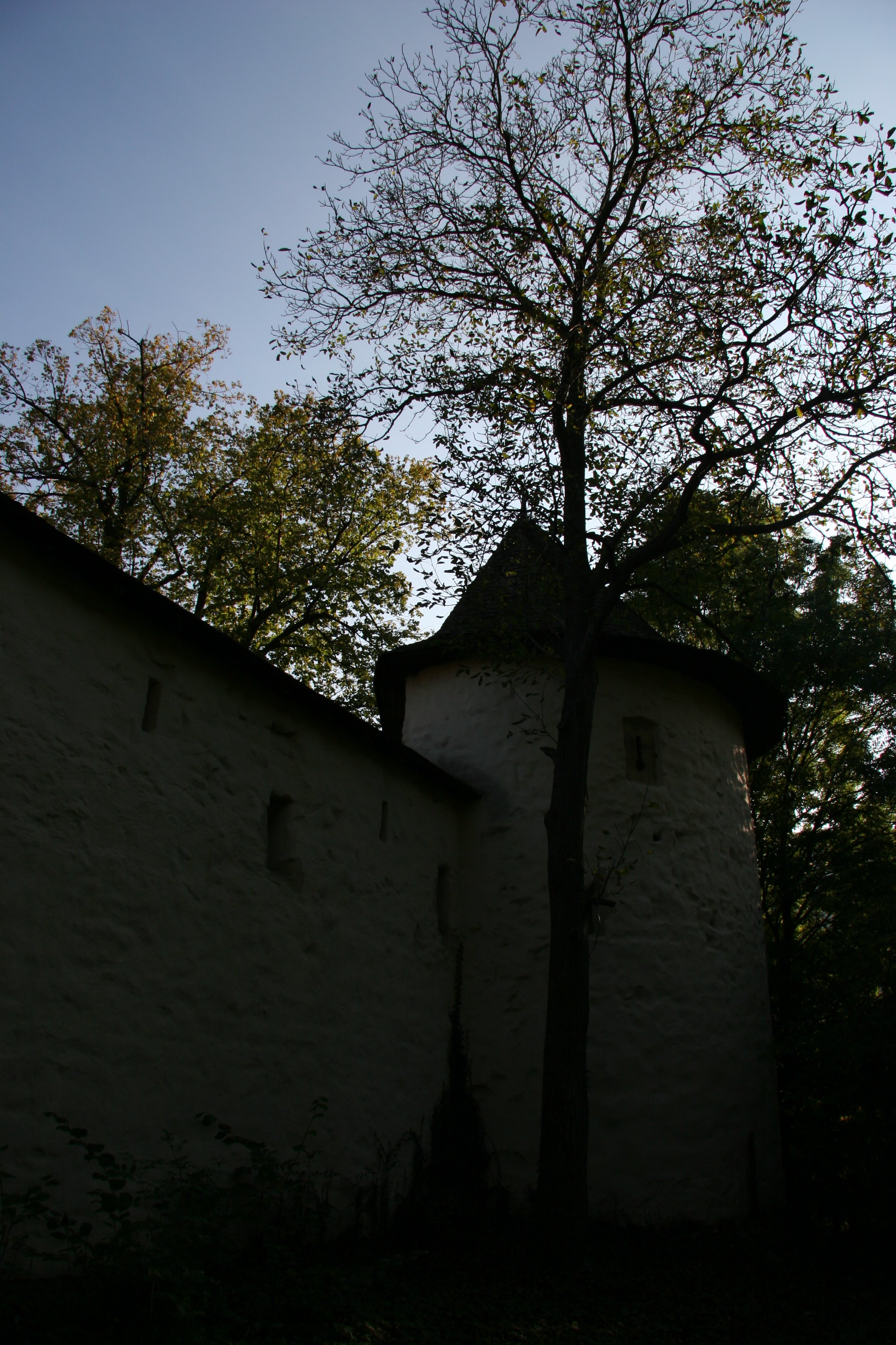 img_5411.jpg