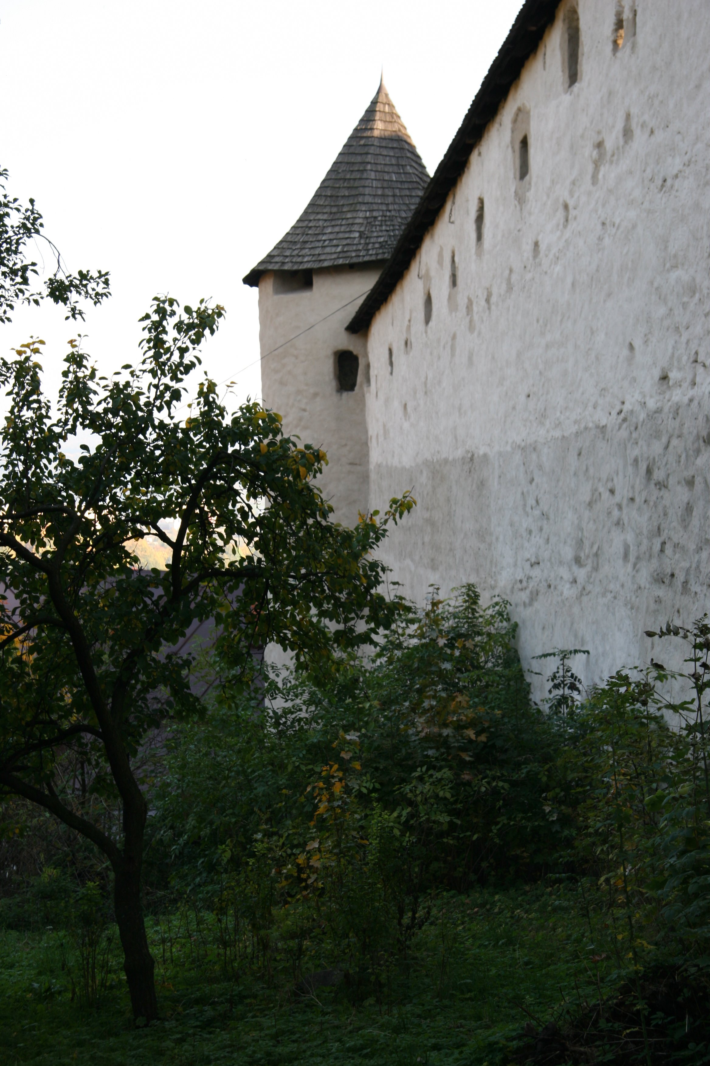 img_5420.jpg