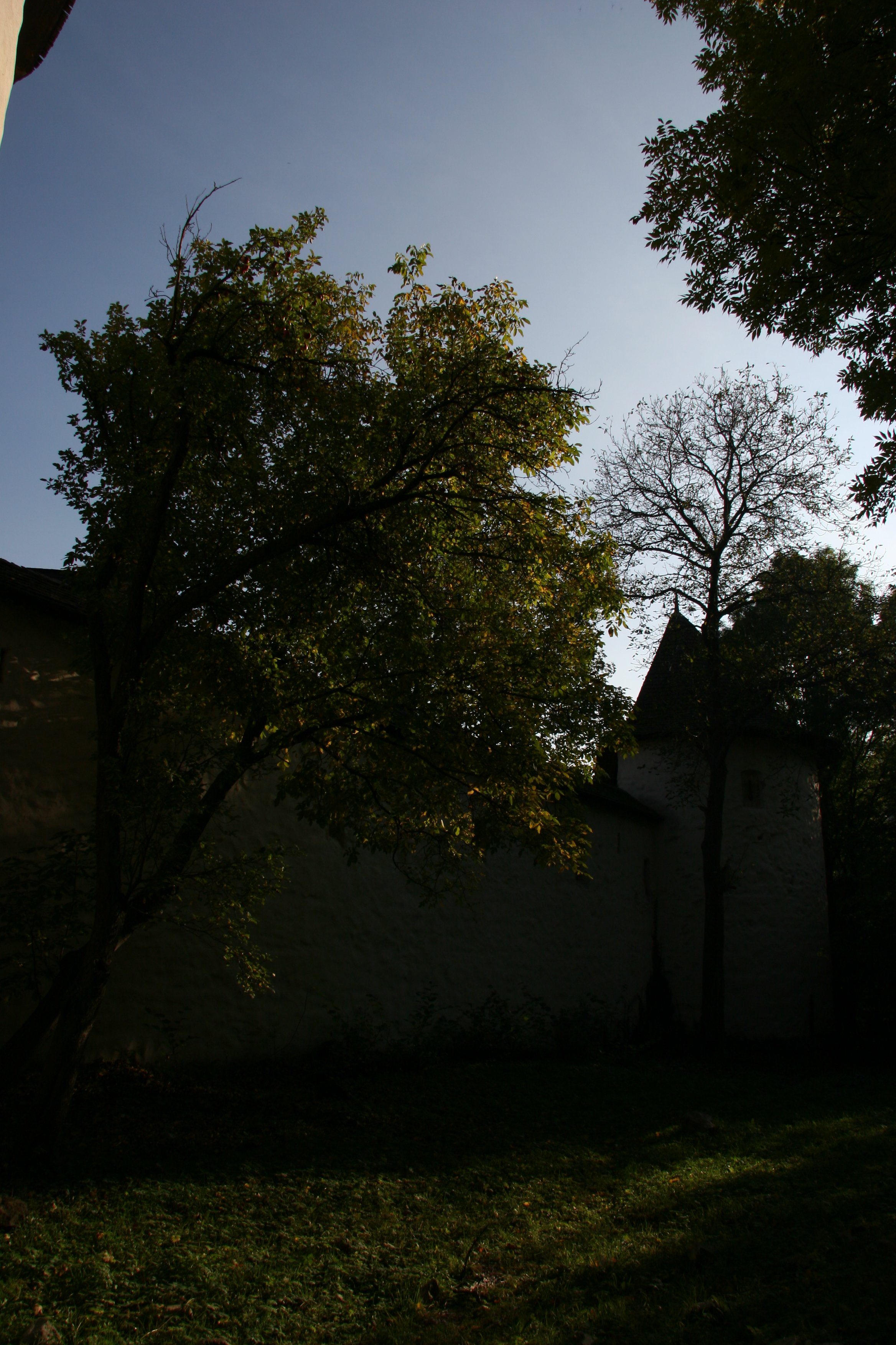 img_5422.jpg