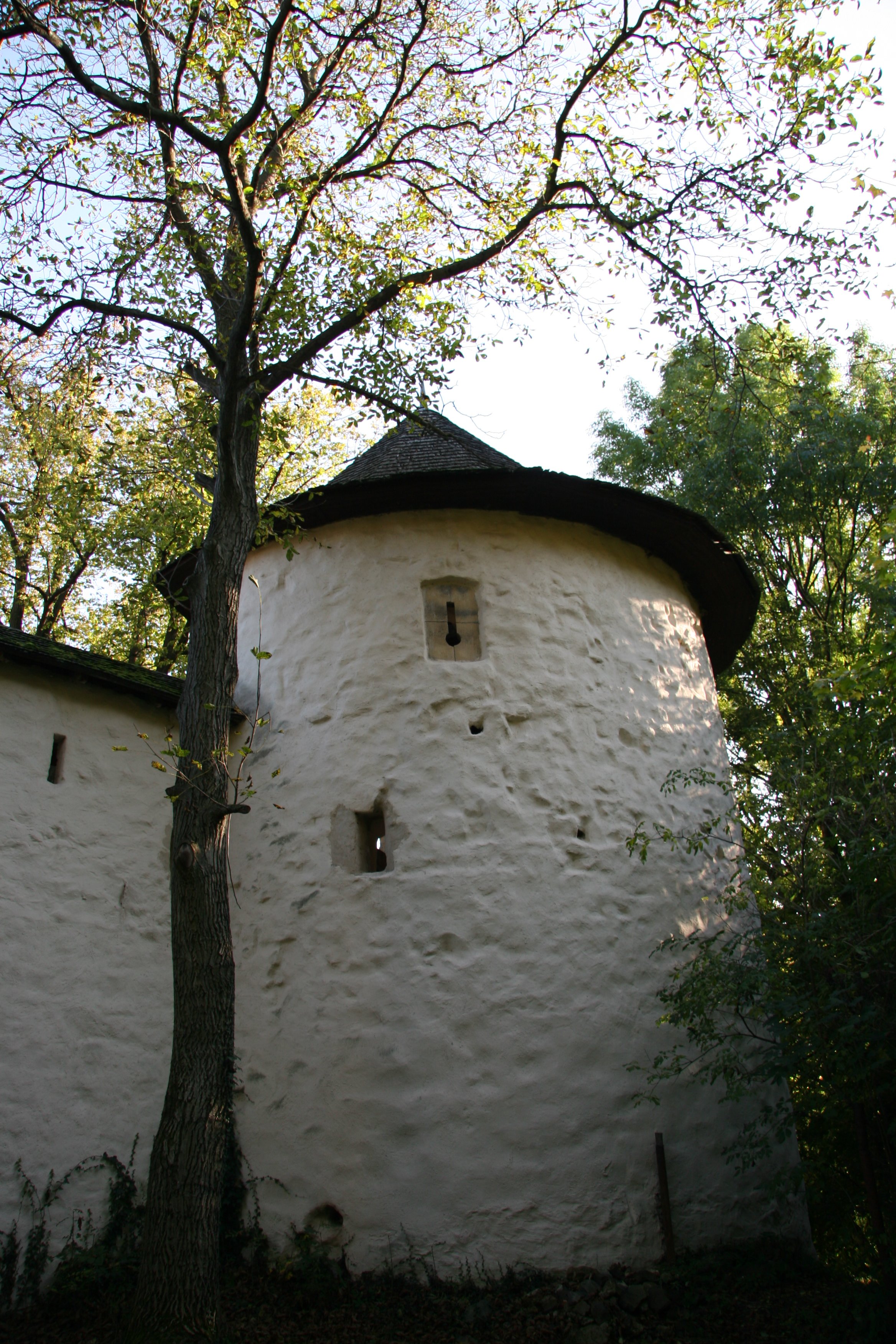 img_5426.jpg