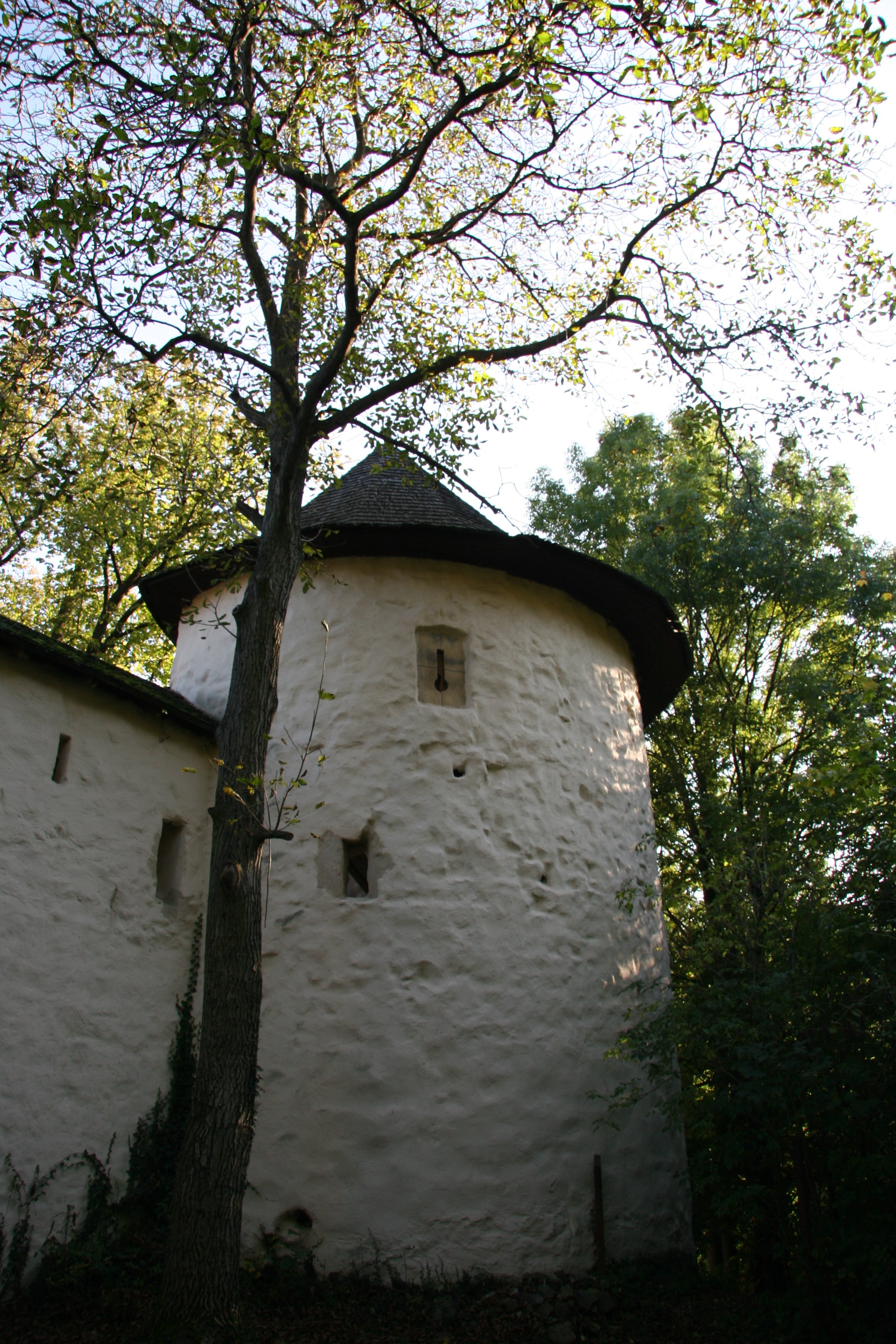 img_5427.jpg