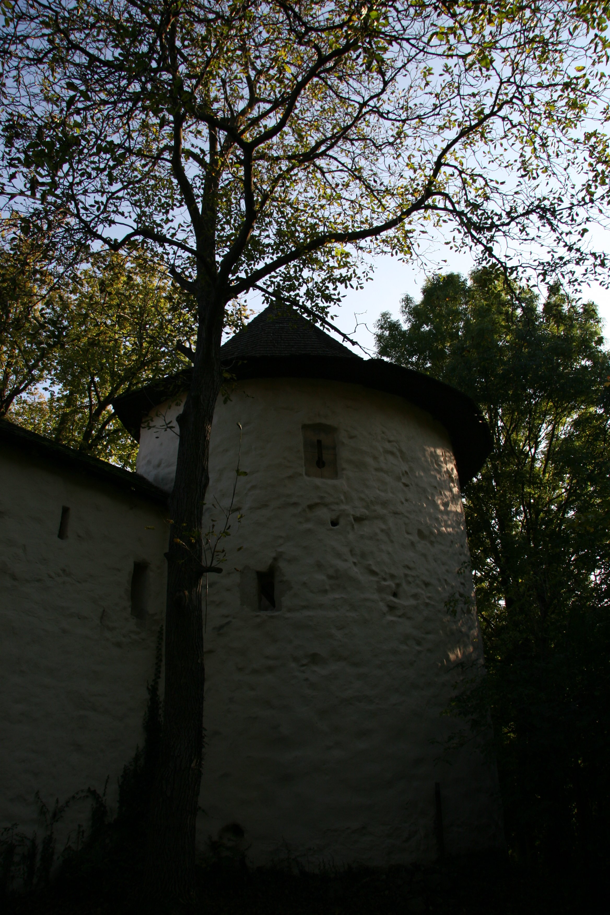 img_5428.jpg