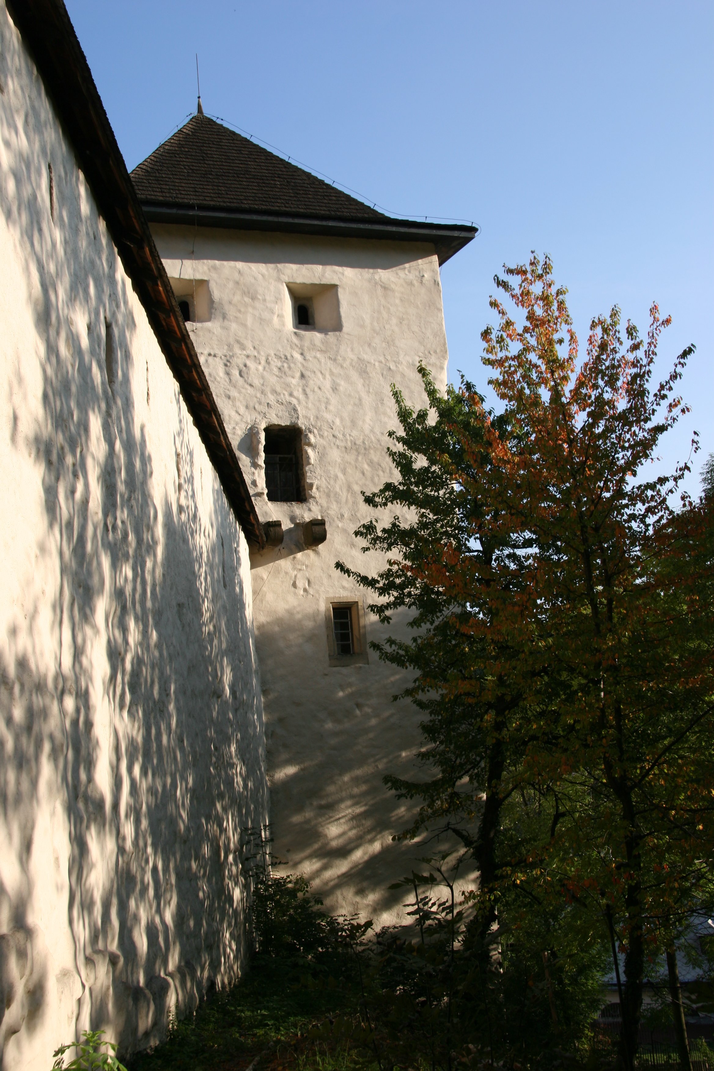 img_5429.jpg