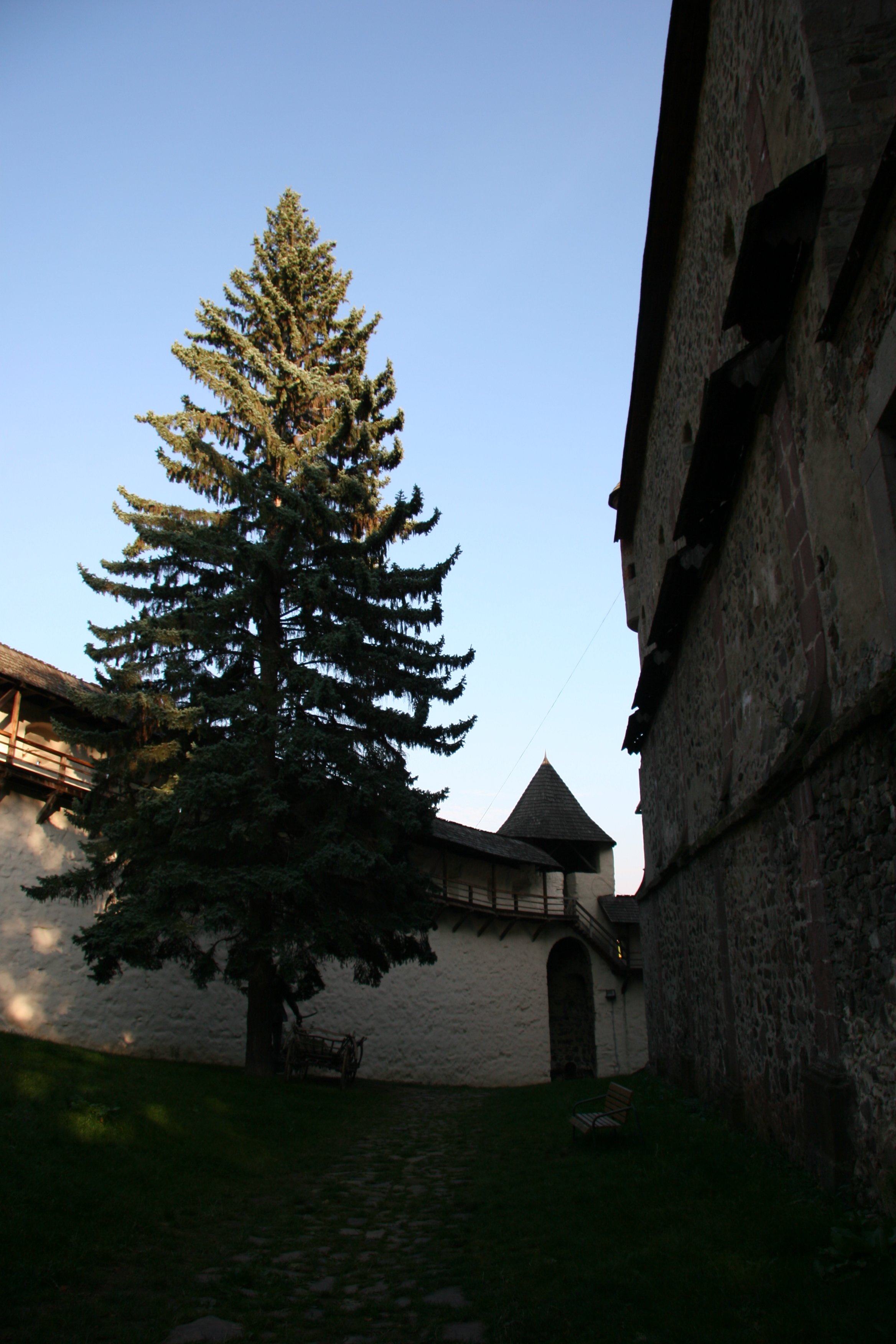 img_5463.jpg