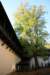img_5483_small.jpg