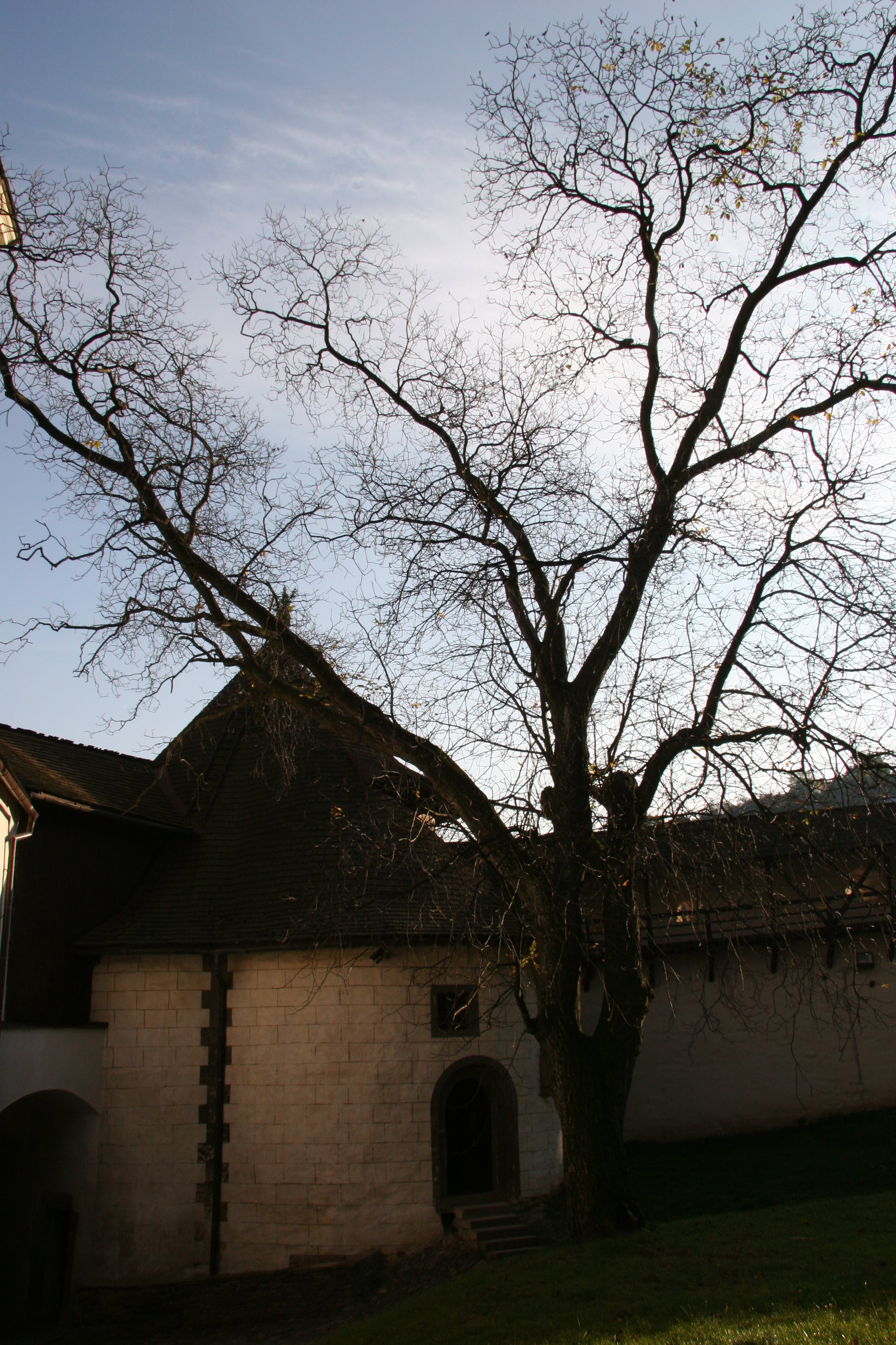 img_5493.jpg