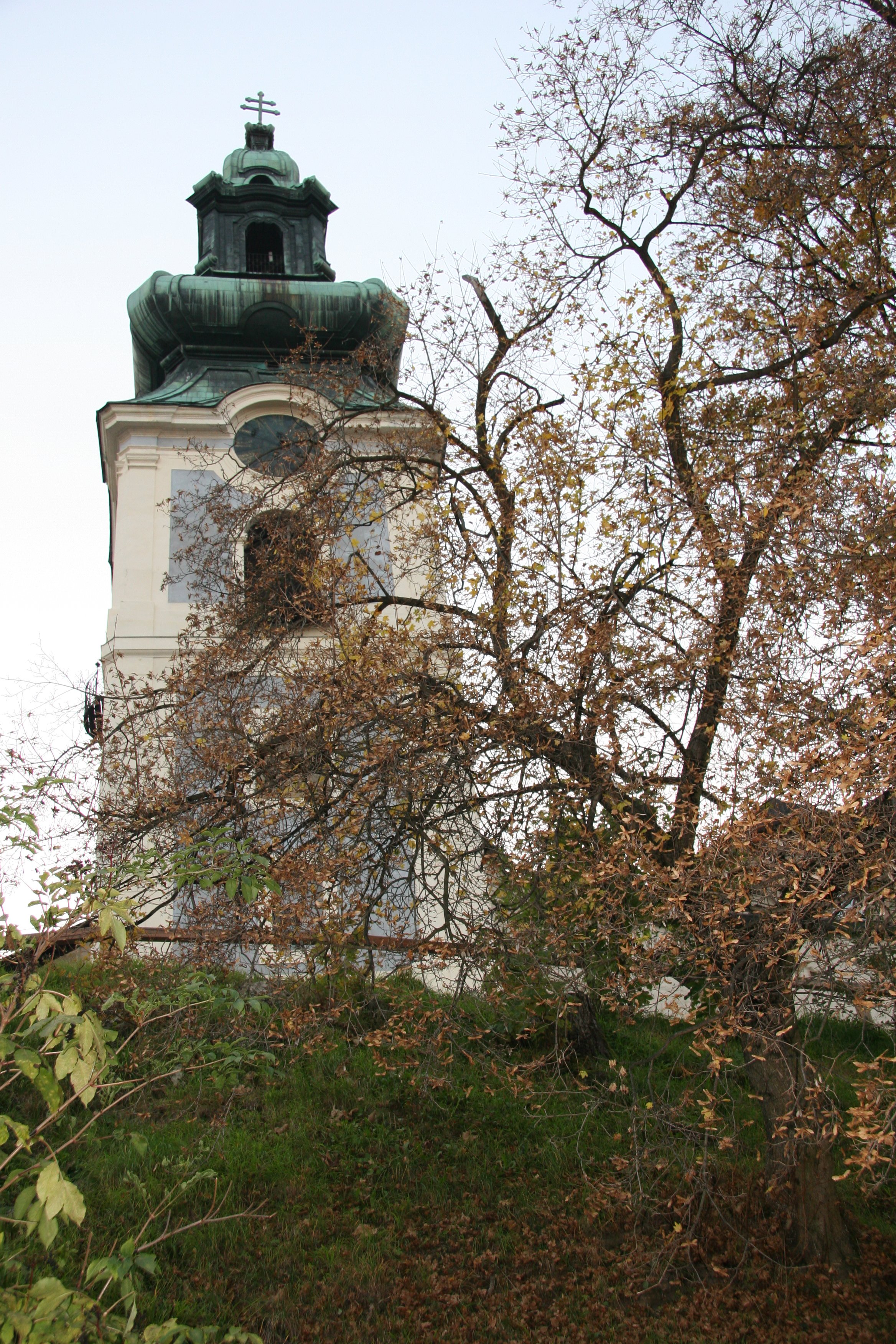 img_5529.jpg