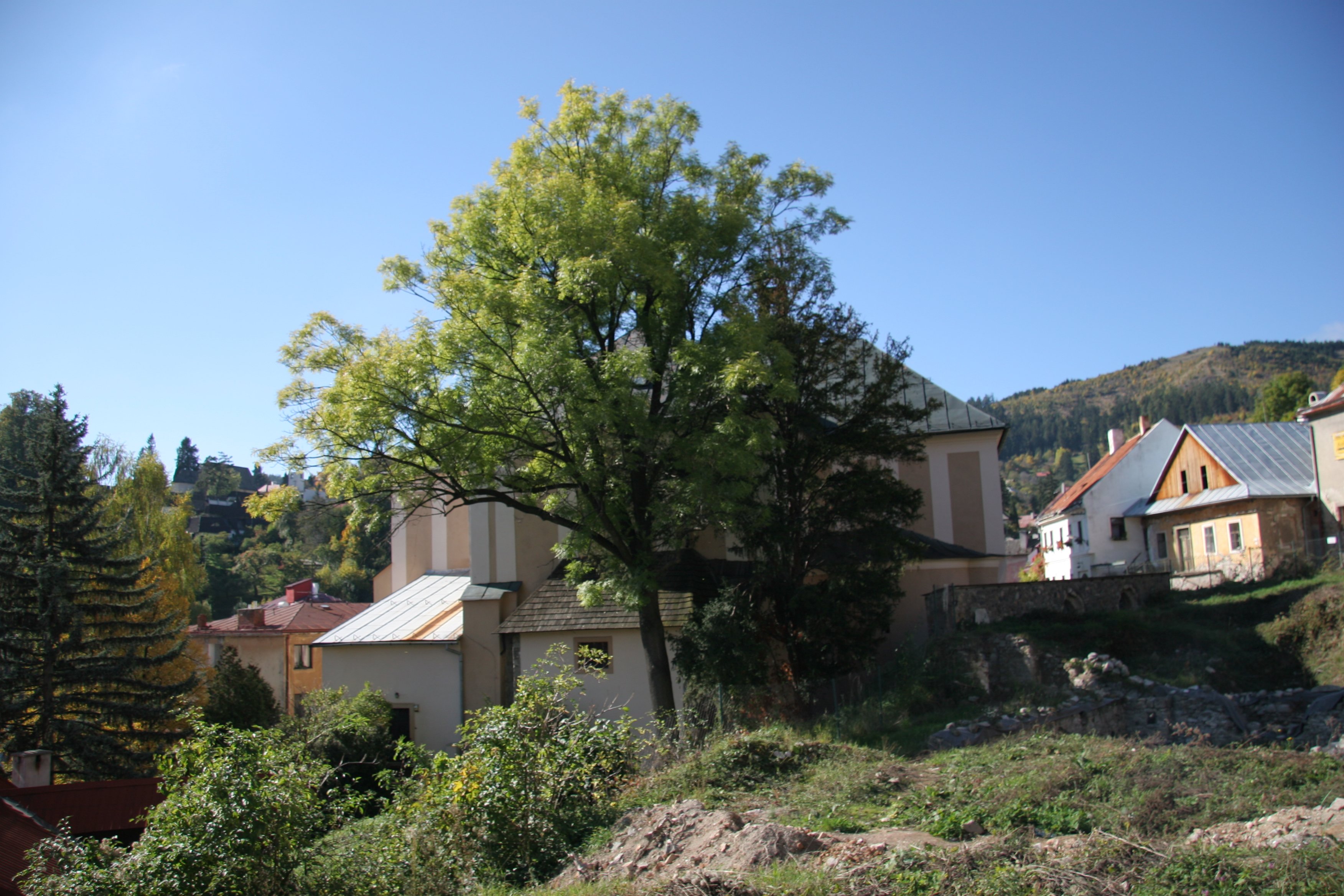img_5777.jpg
