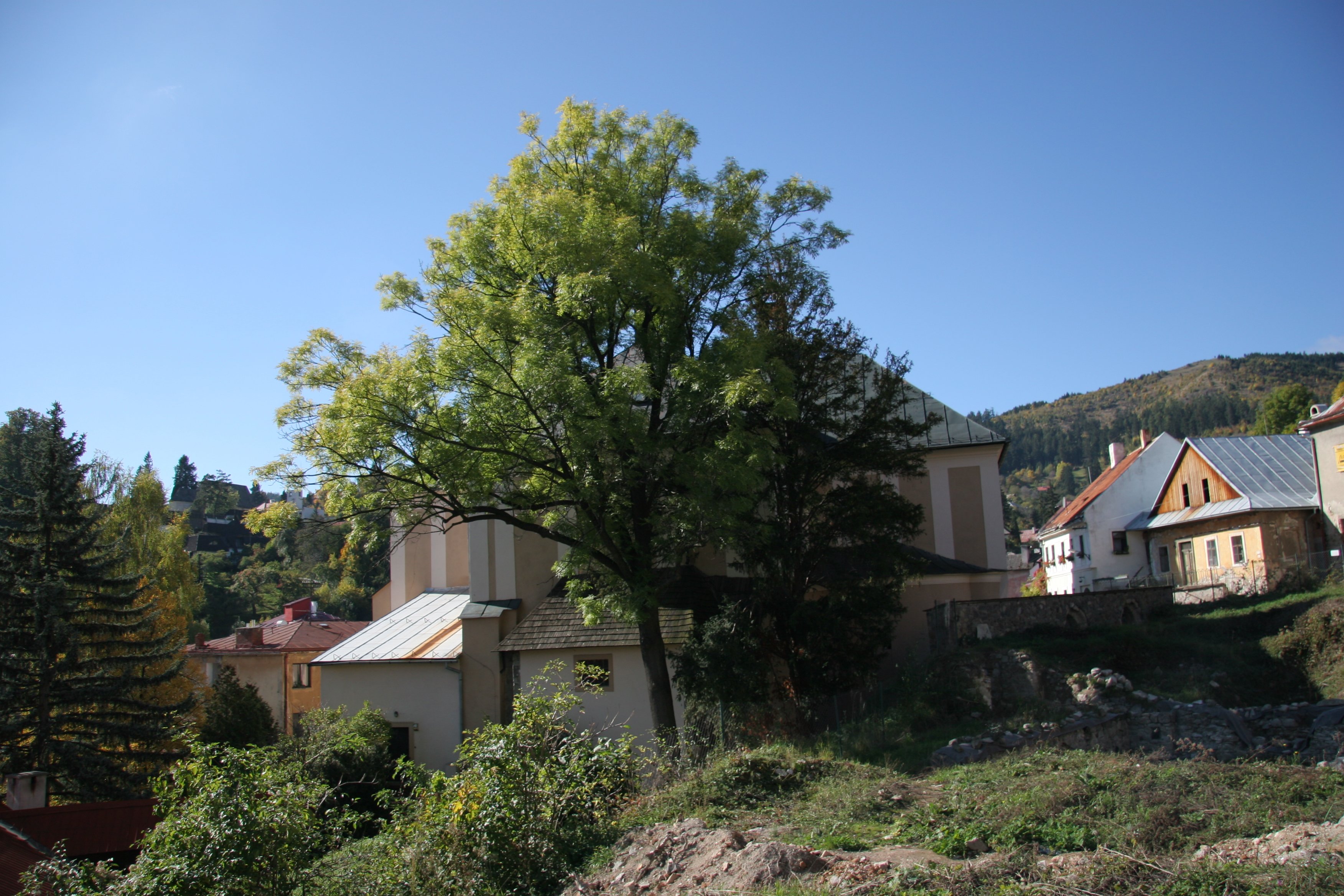 img_5778.jpg