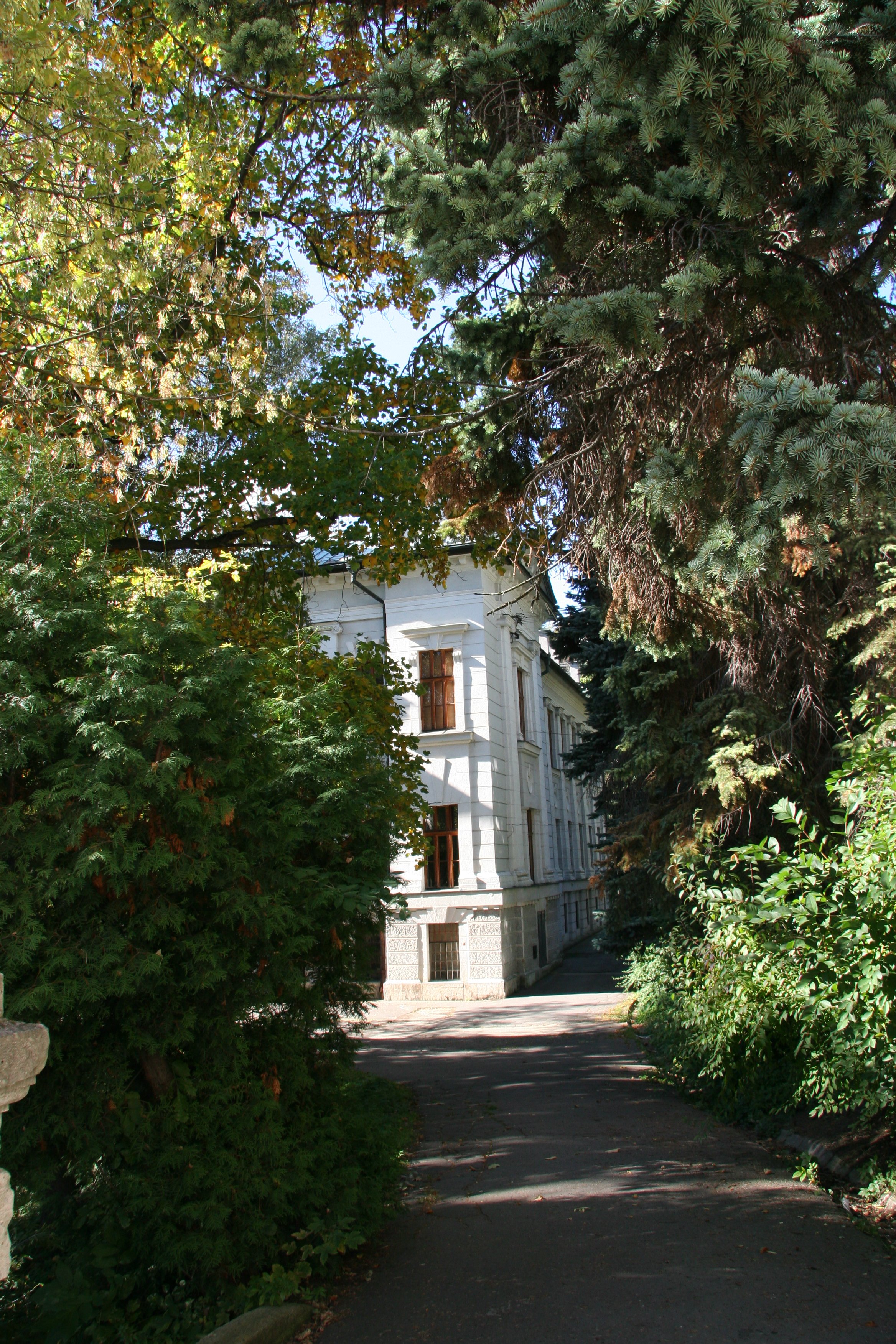 img_5849.jpg
