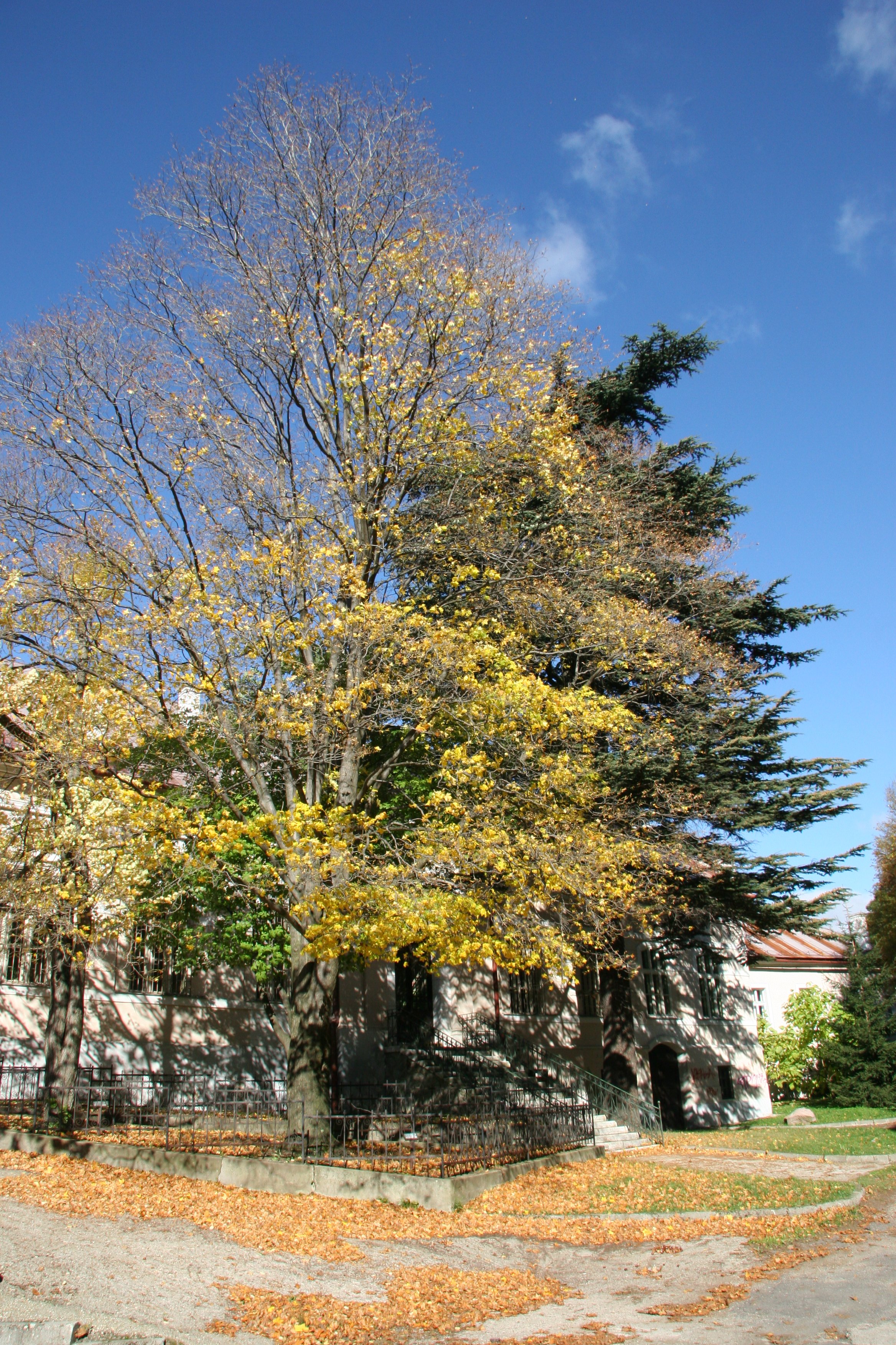 img_5857.jpg