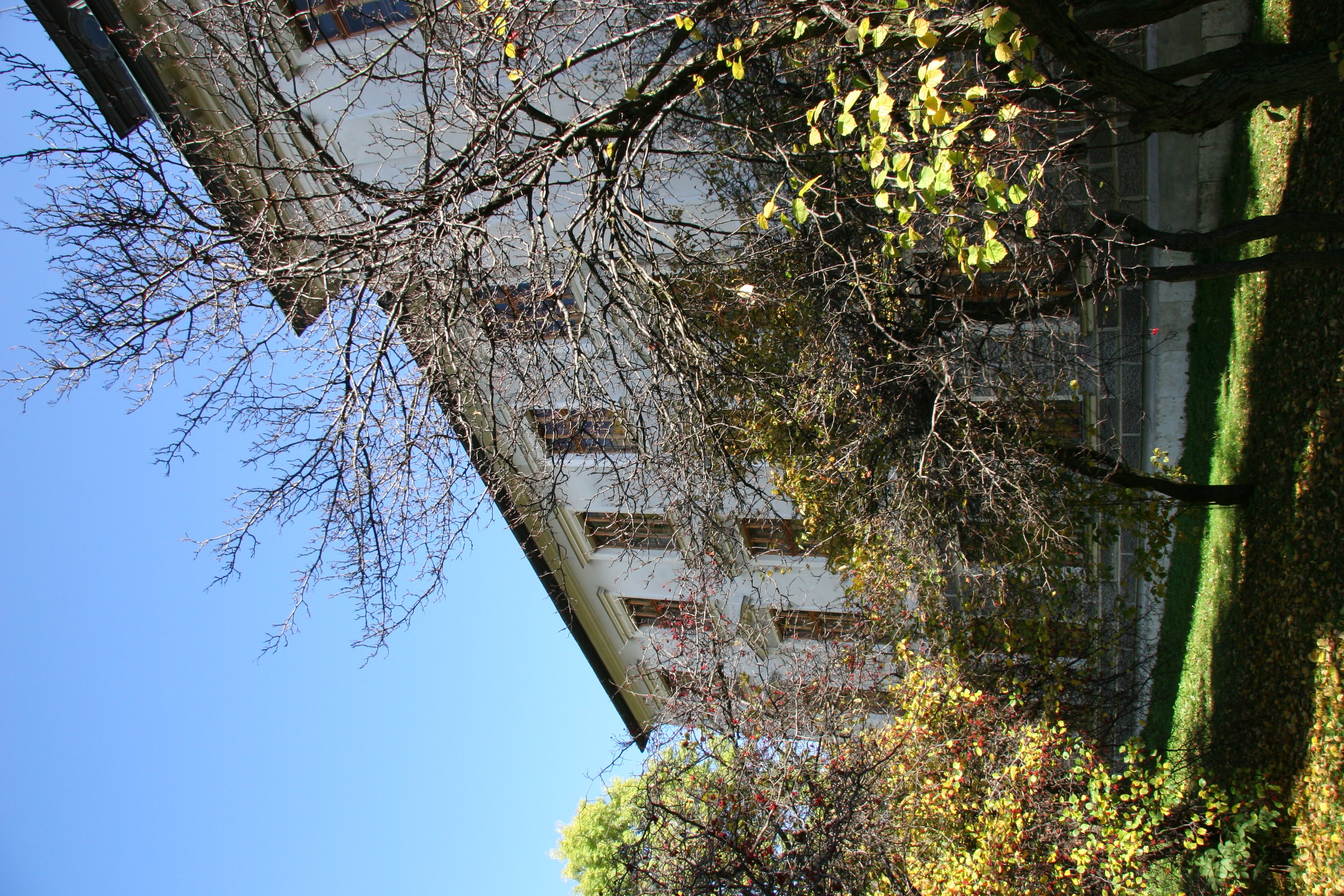 img_5899.jpg