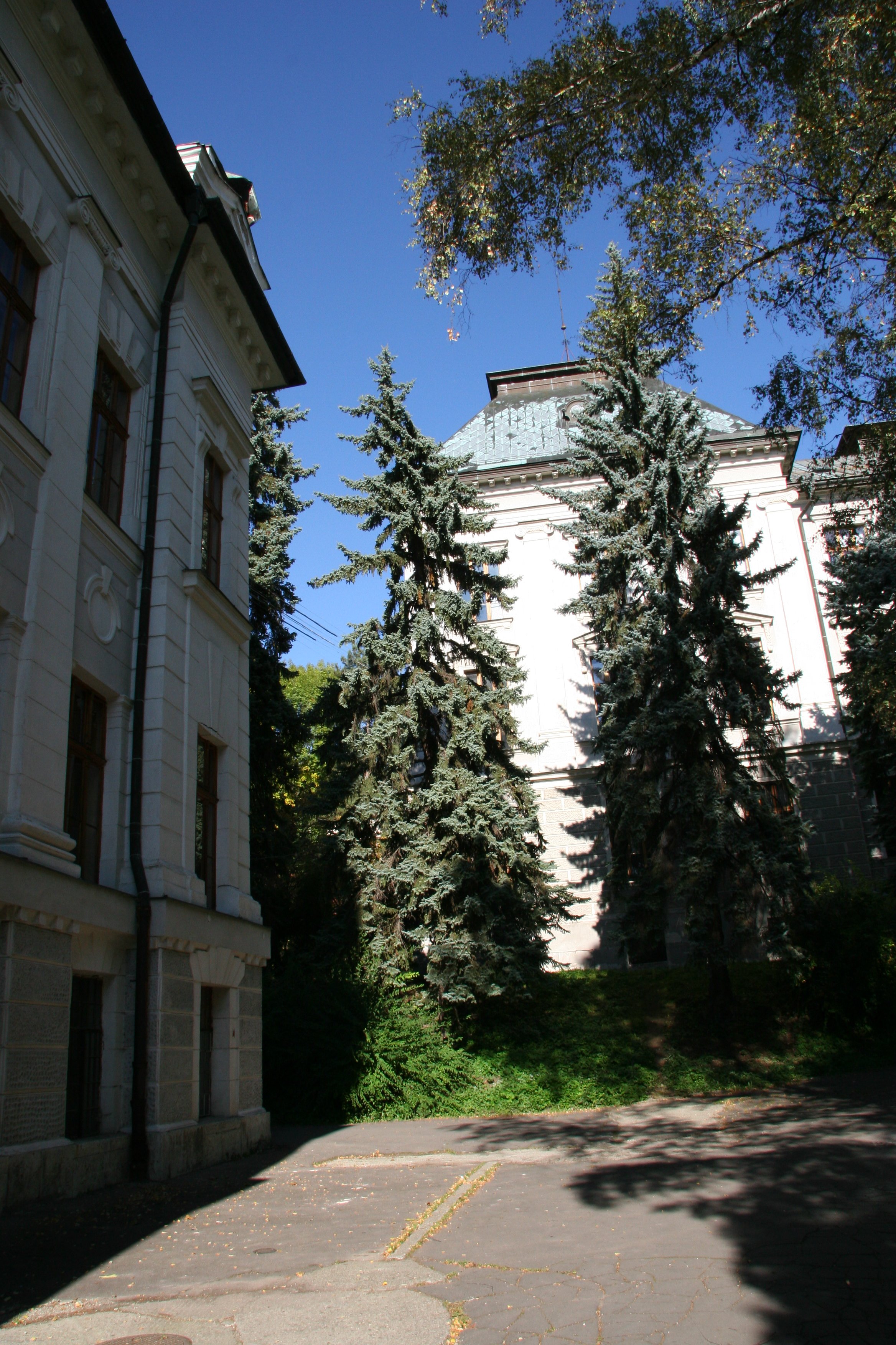 img_5906.jpg