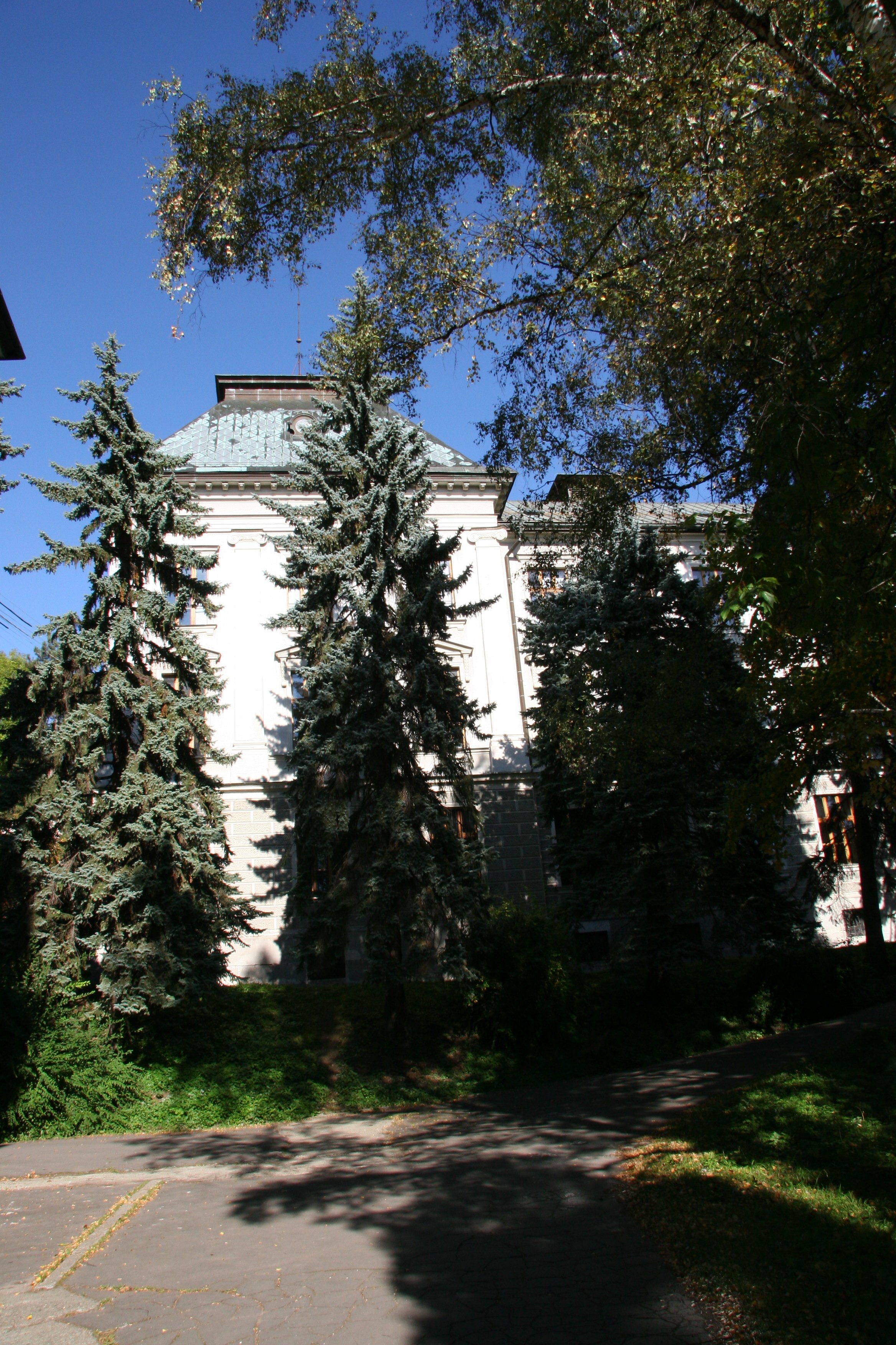img_5907.jpg