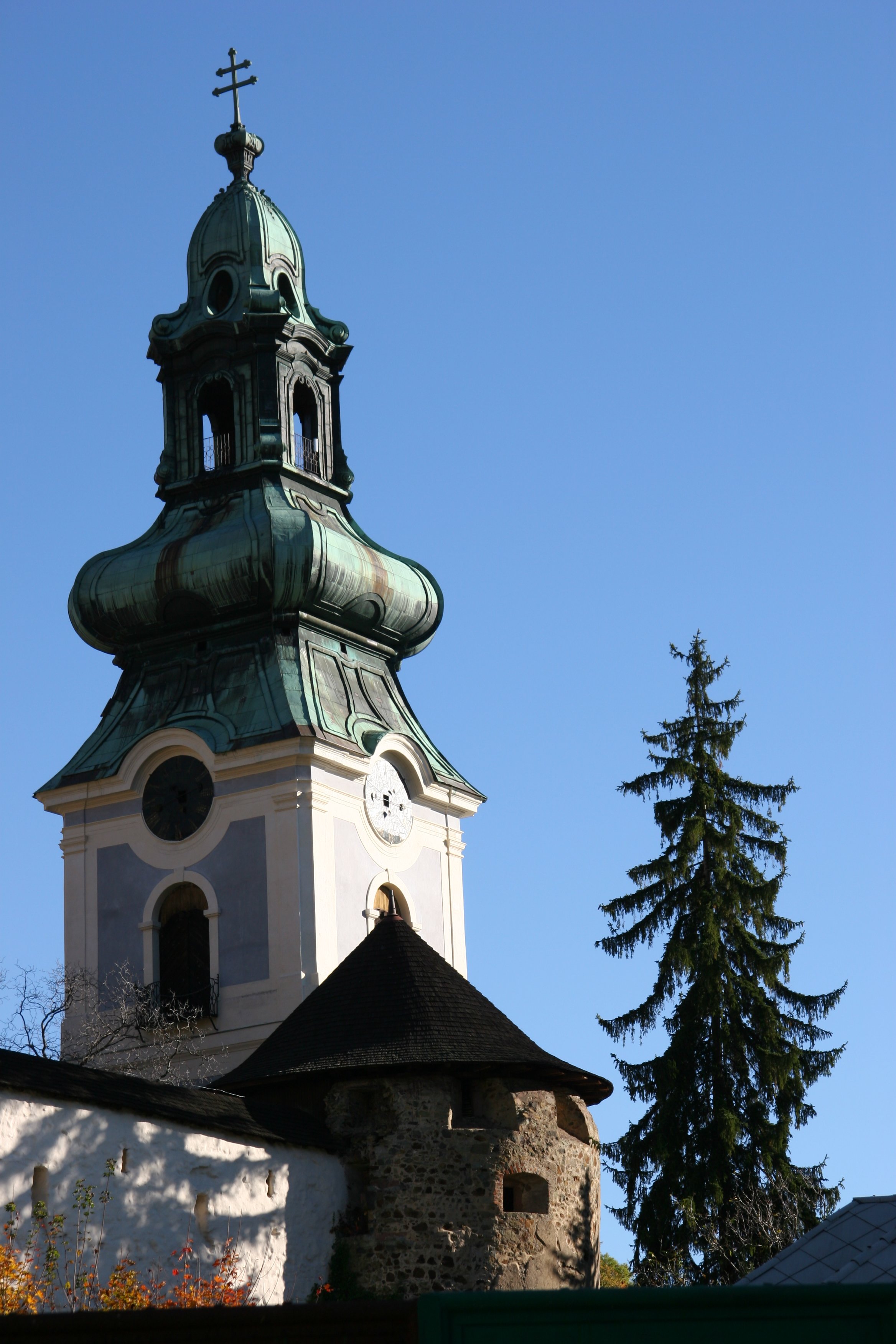 img_5556.jpg