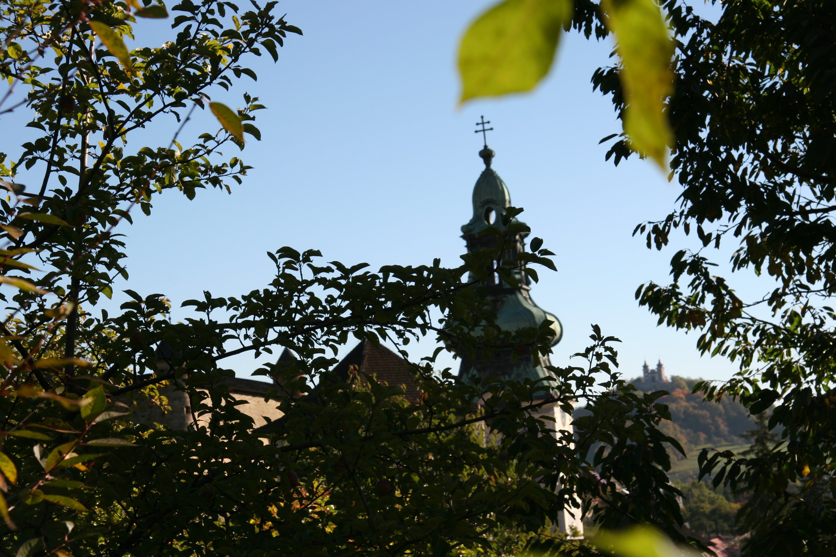 img_5560.jpg