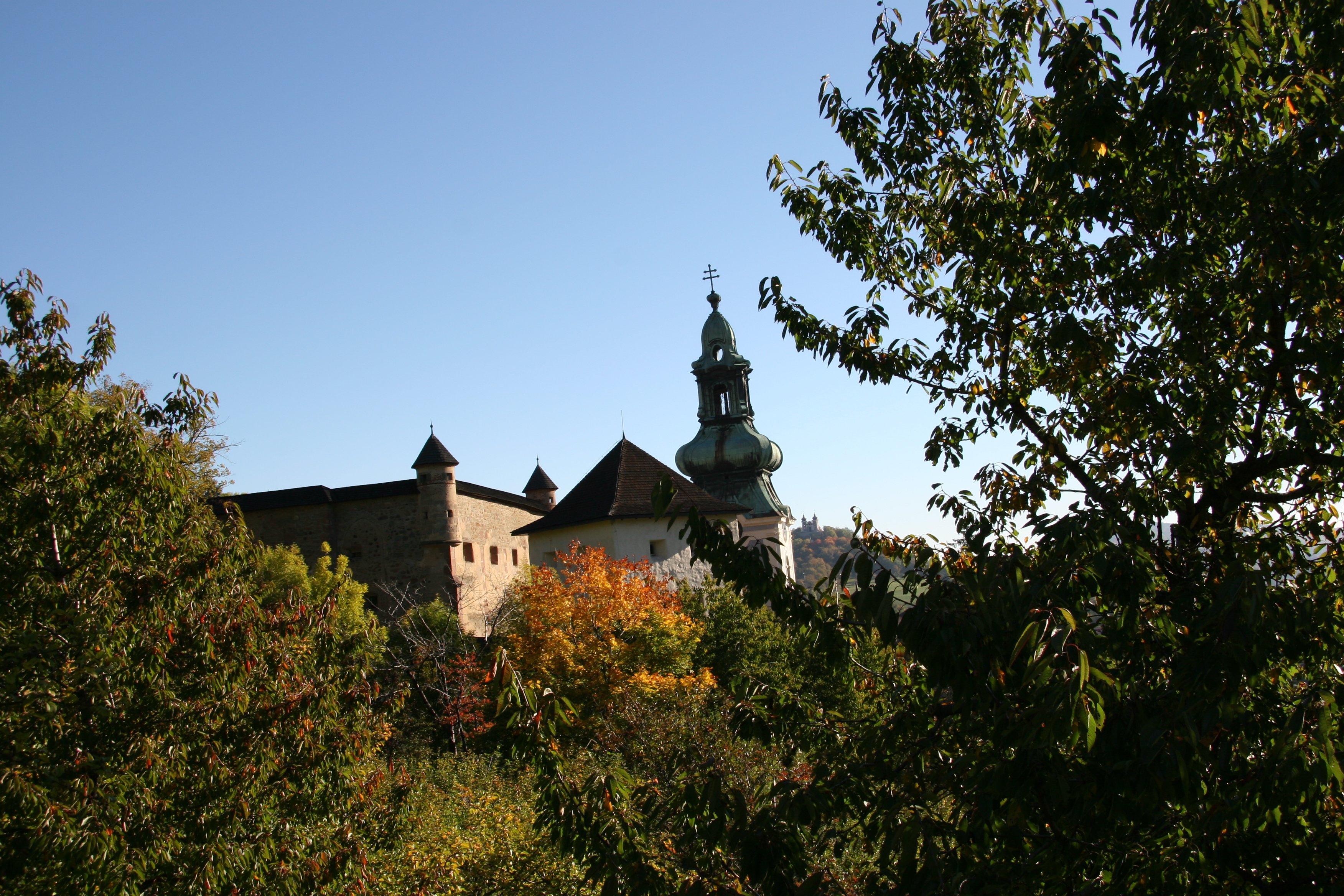img_5564.jpg