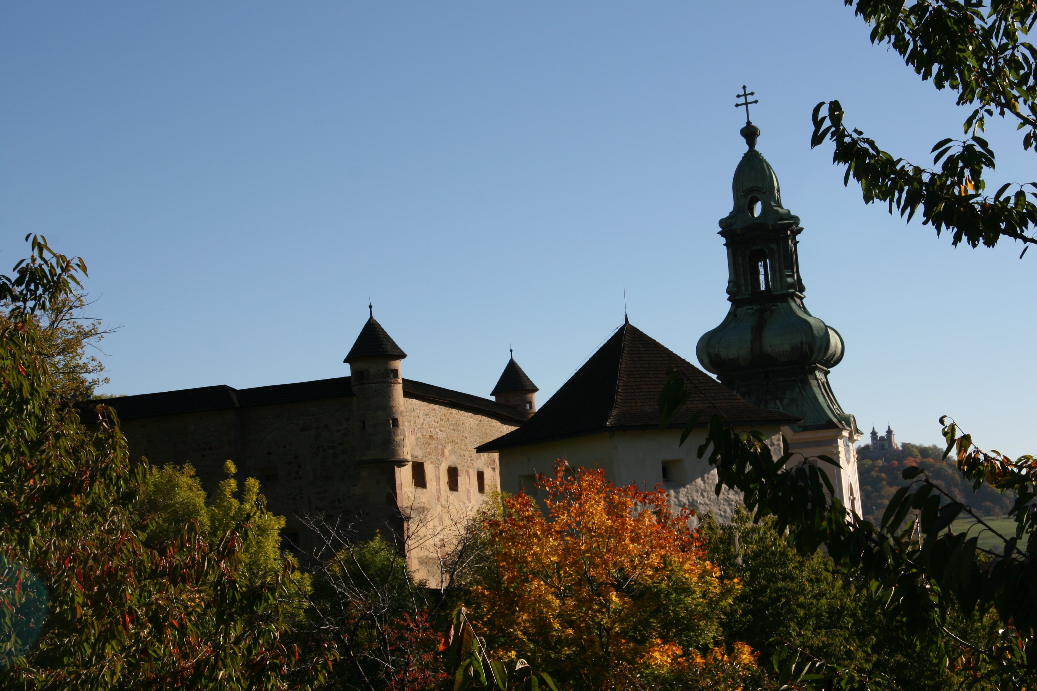 img_5565.jpg