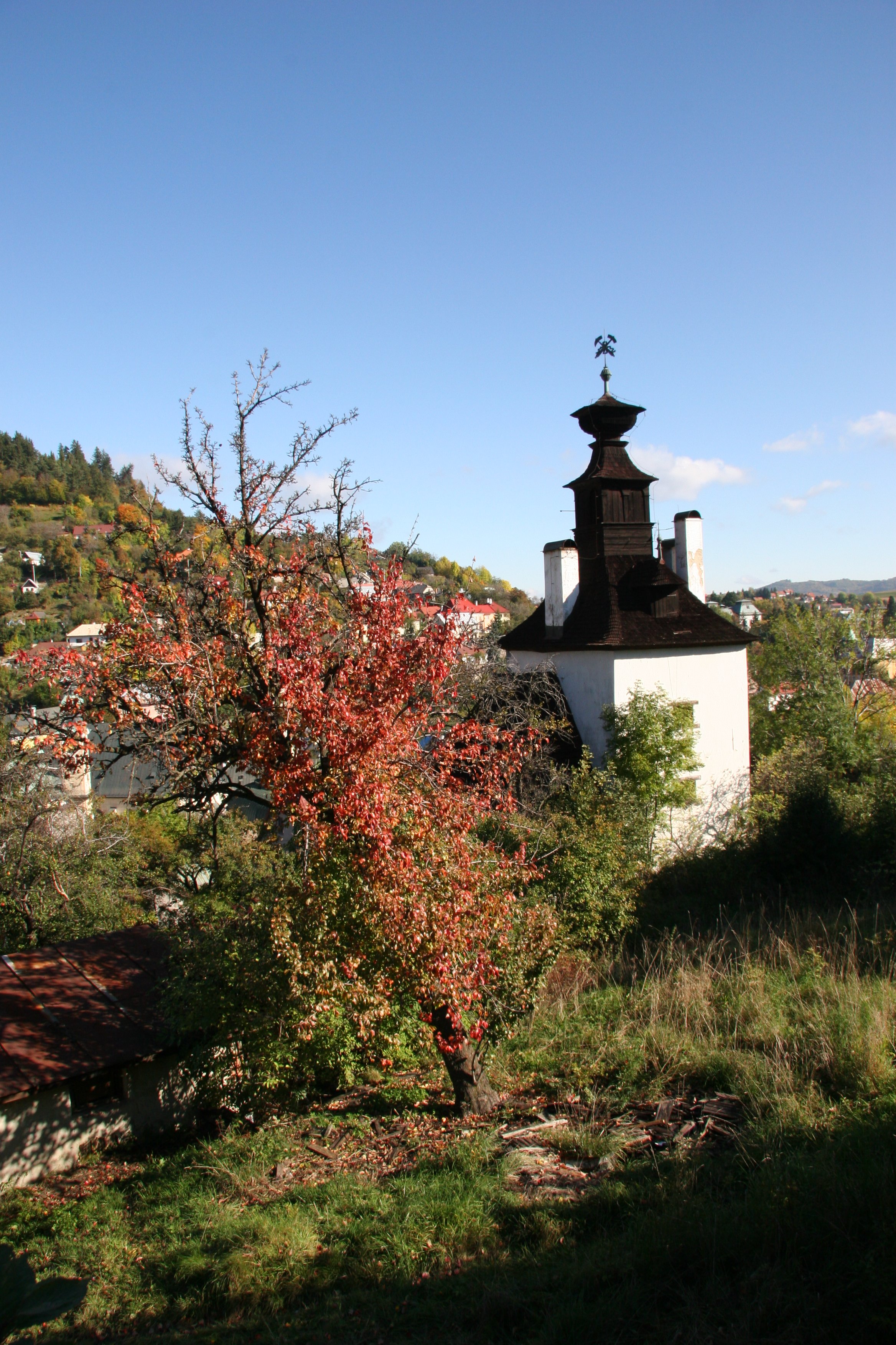 img_5643.jpg