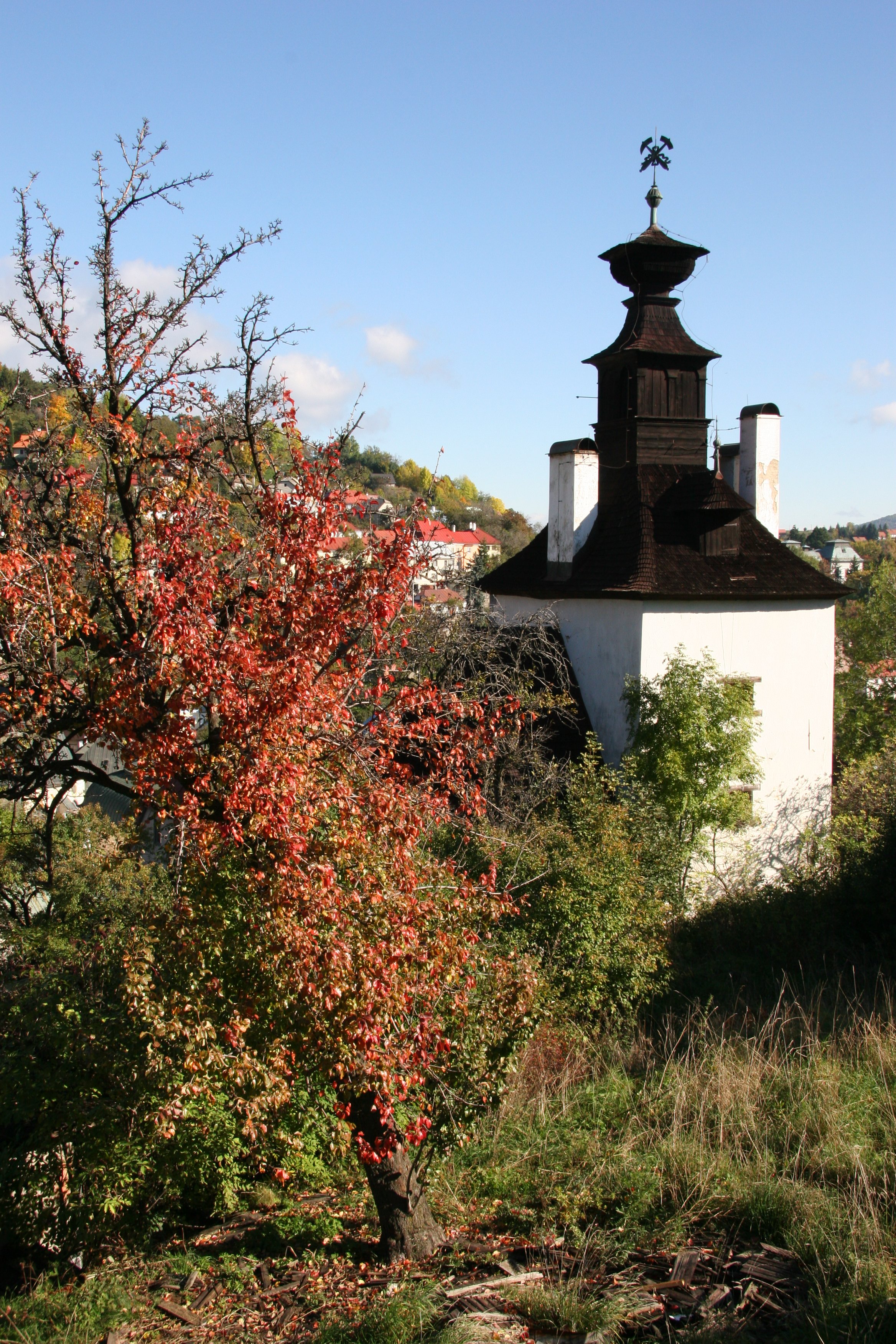 img_5655.jpg