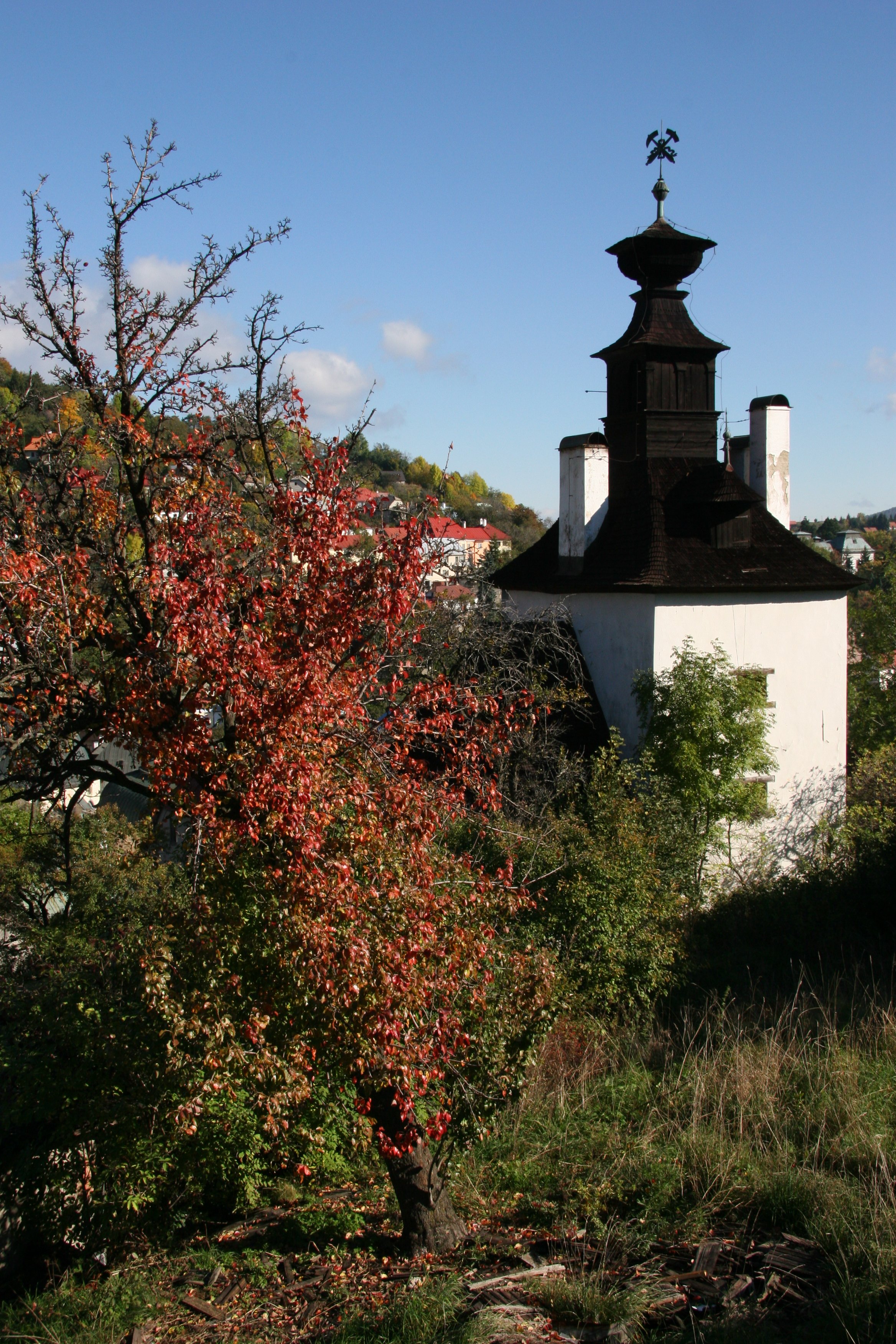 img_5656.jpg