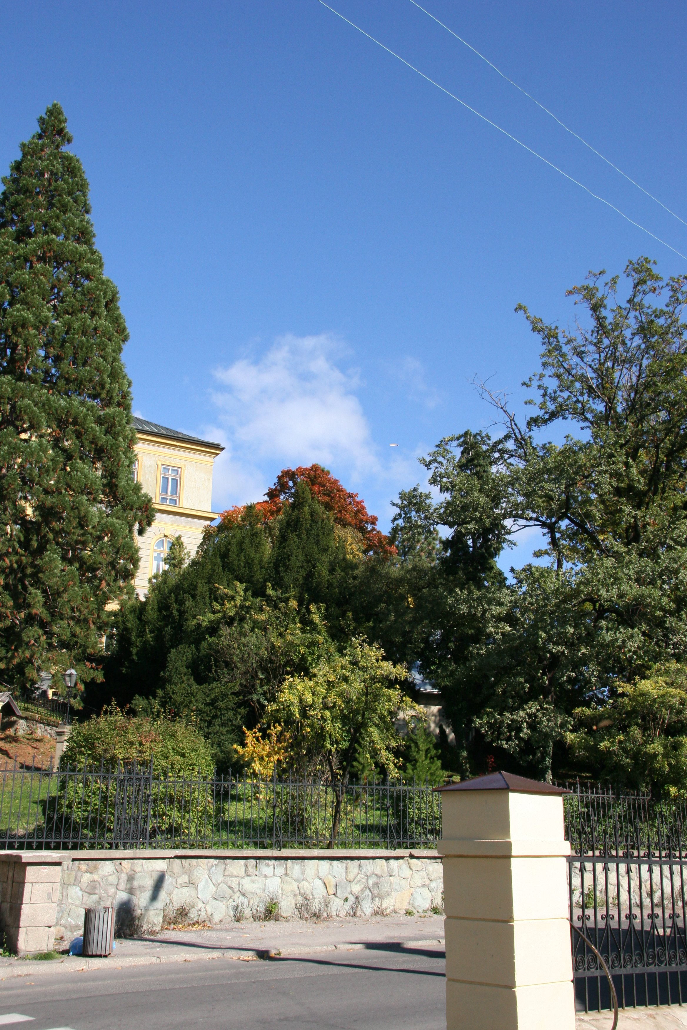 img_5927.jpg